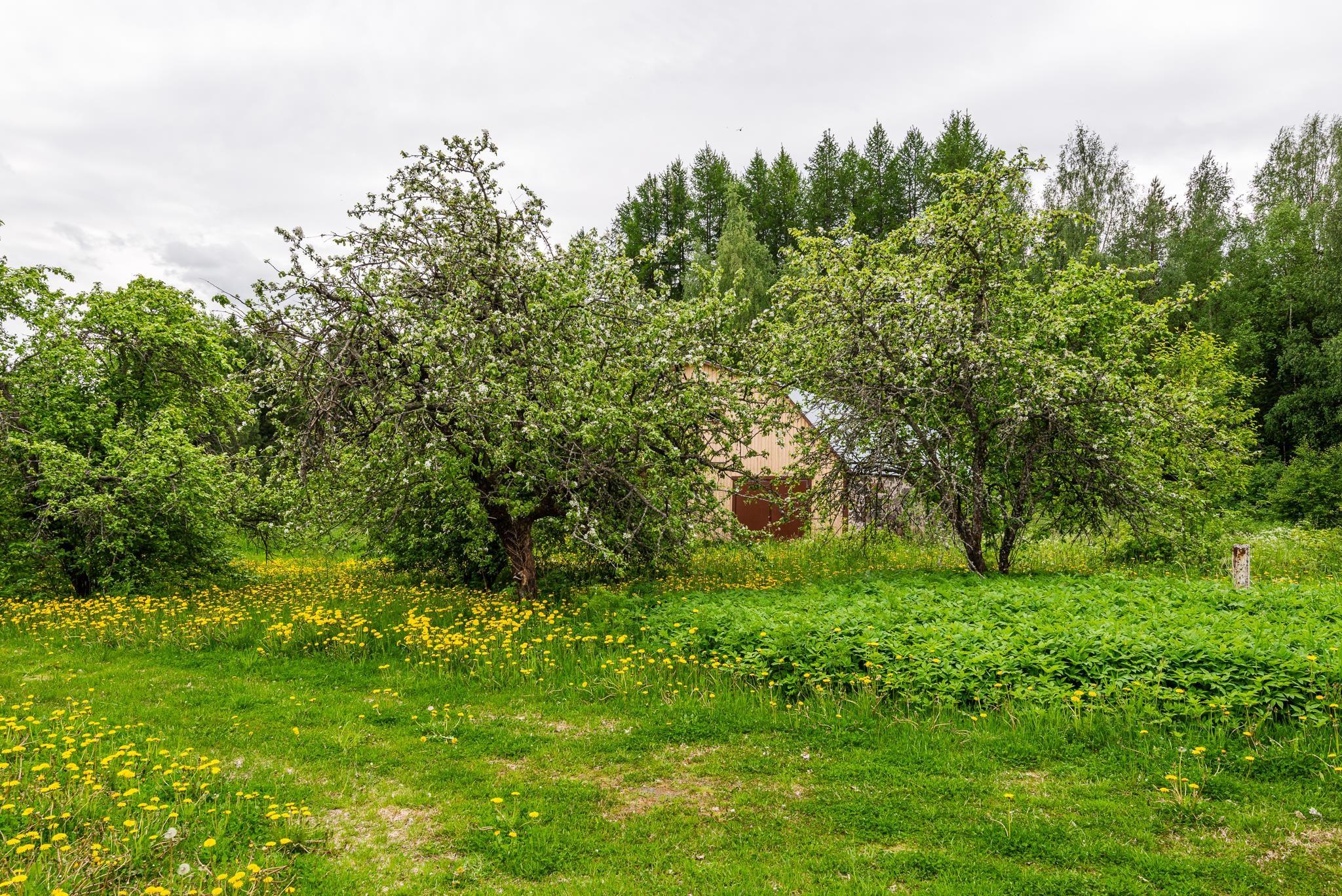 Kohdekuva 7