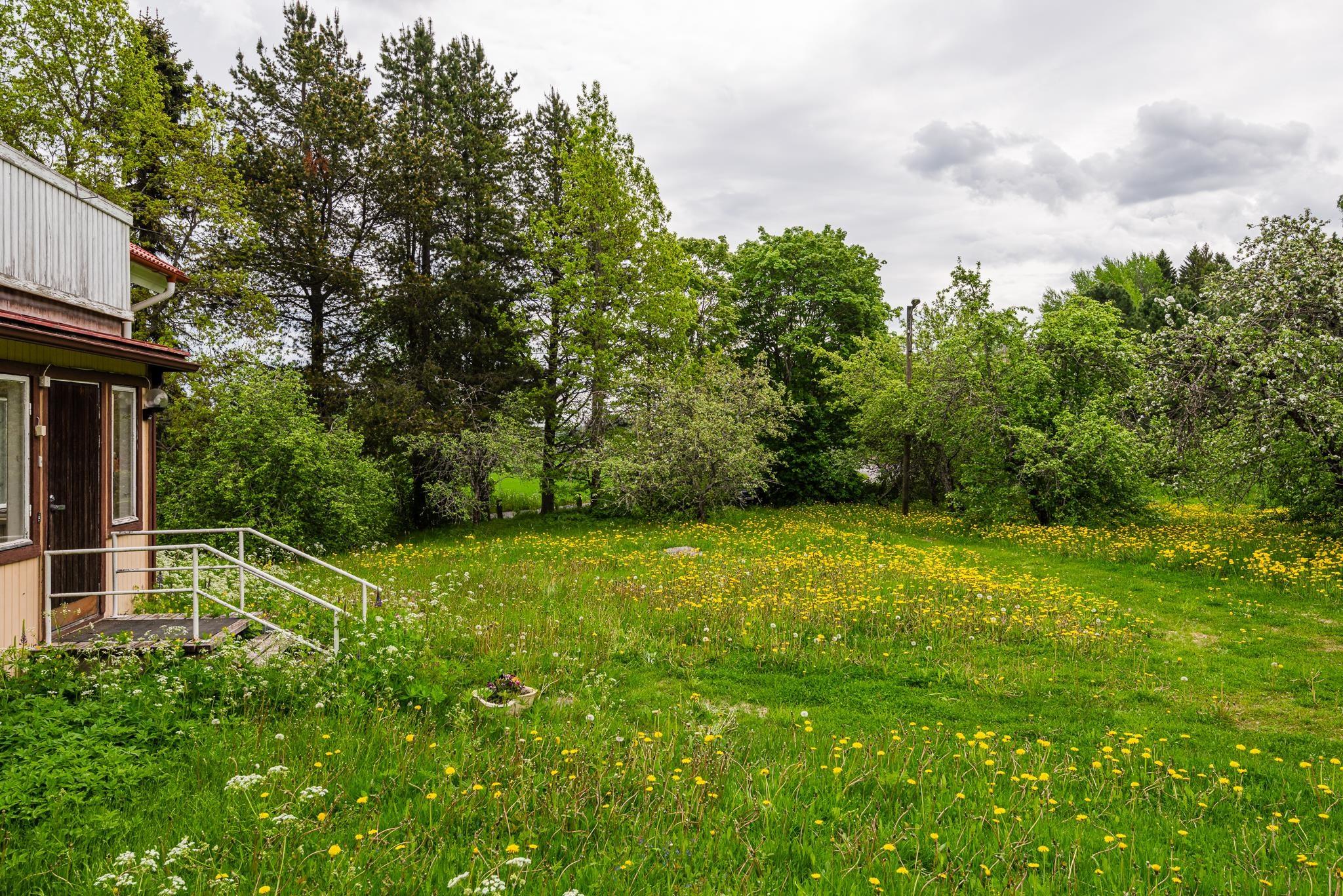 Kohdekuva 12