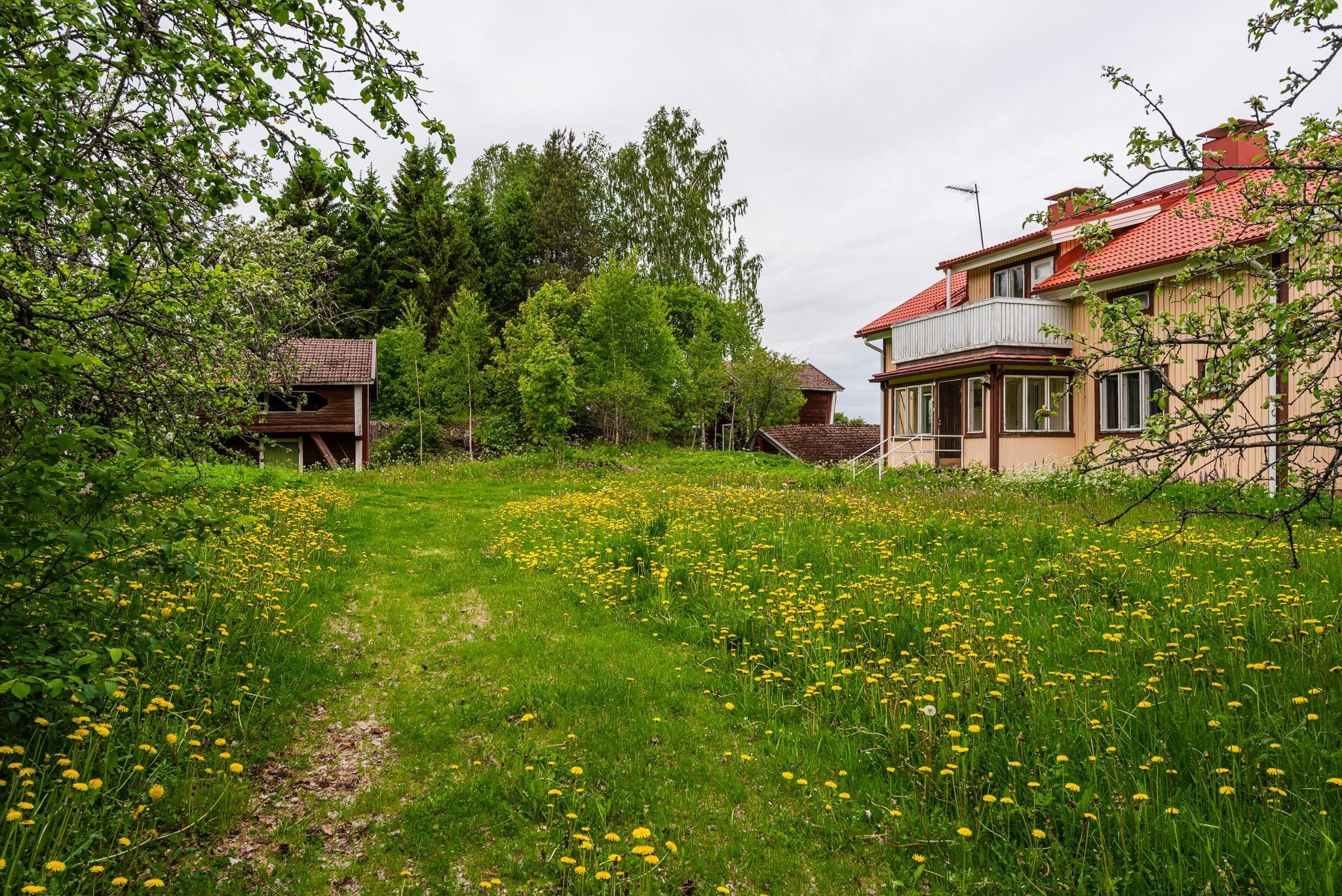 Kohdekuva 3