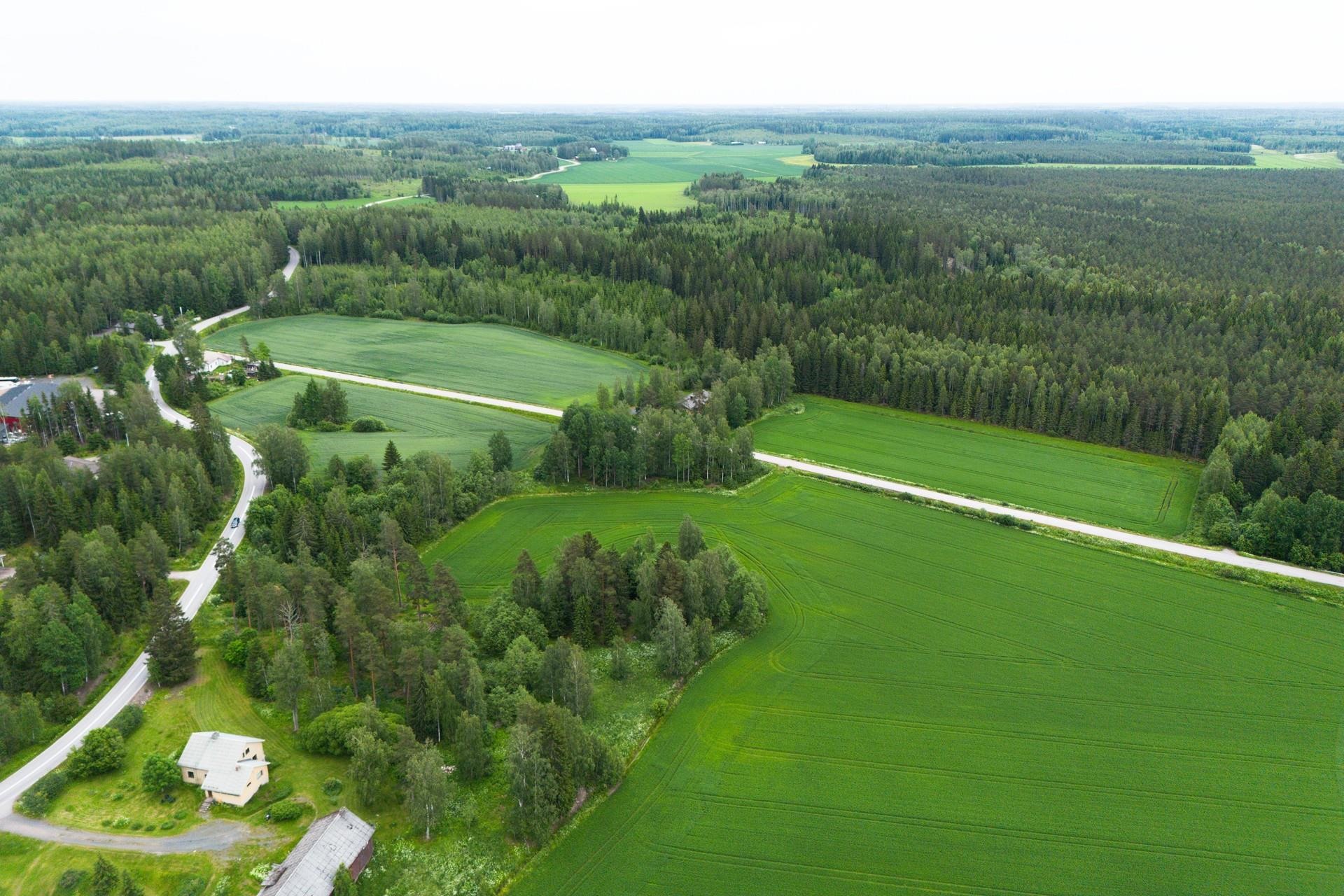 Kohdekuva 4
