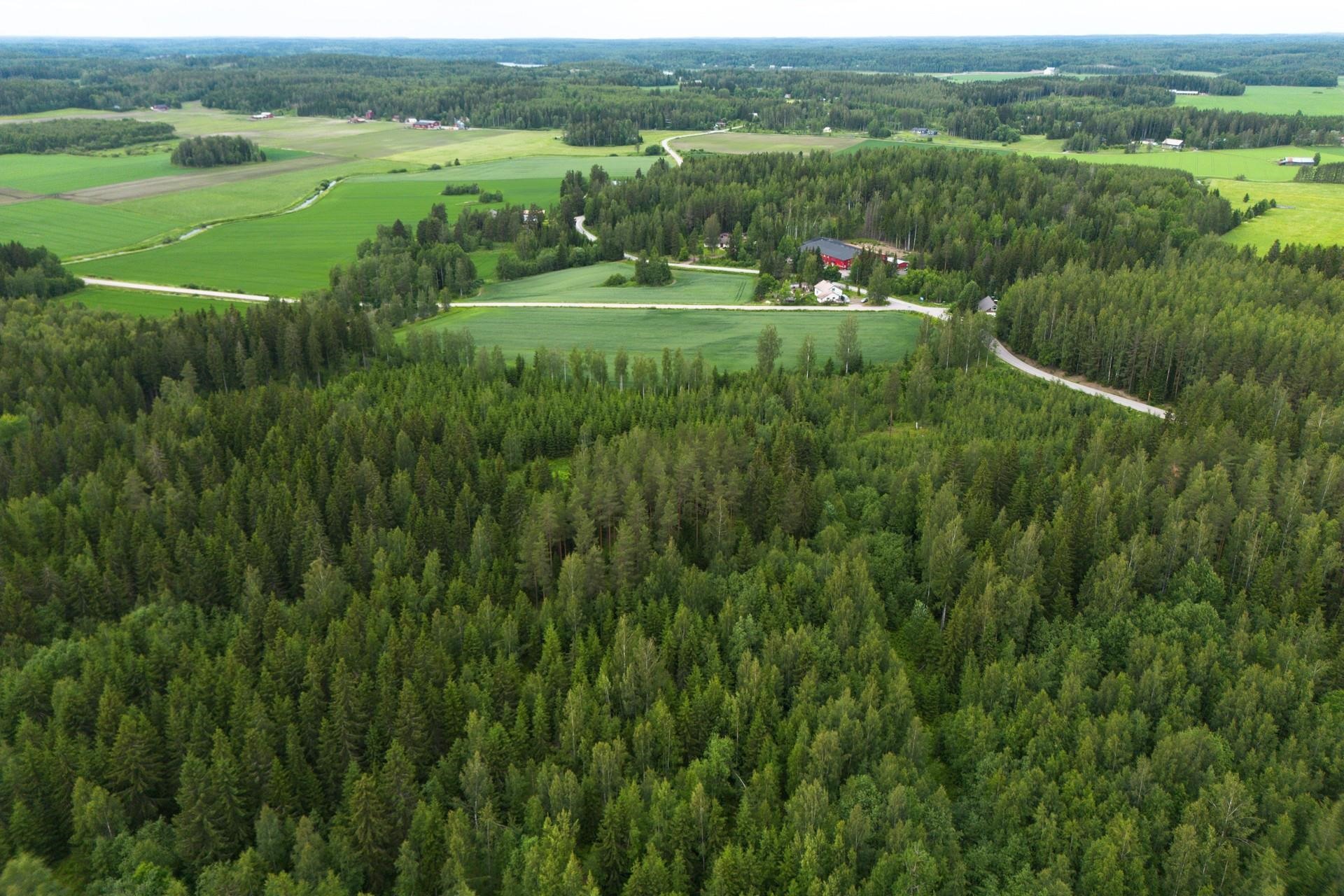 Kohdekuva 2