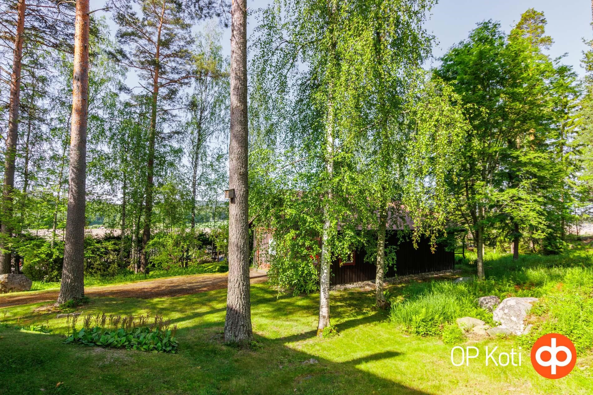 Kohdekuva 38