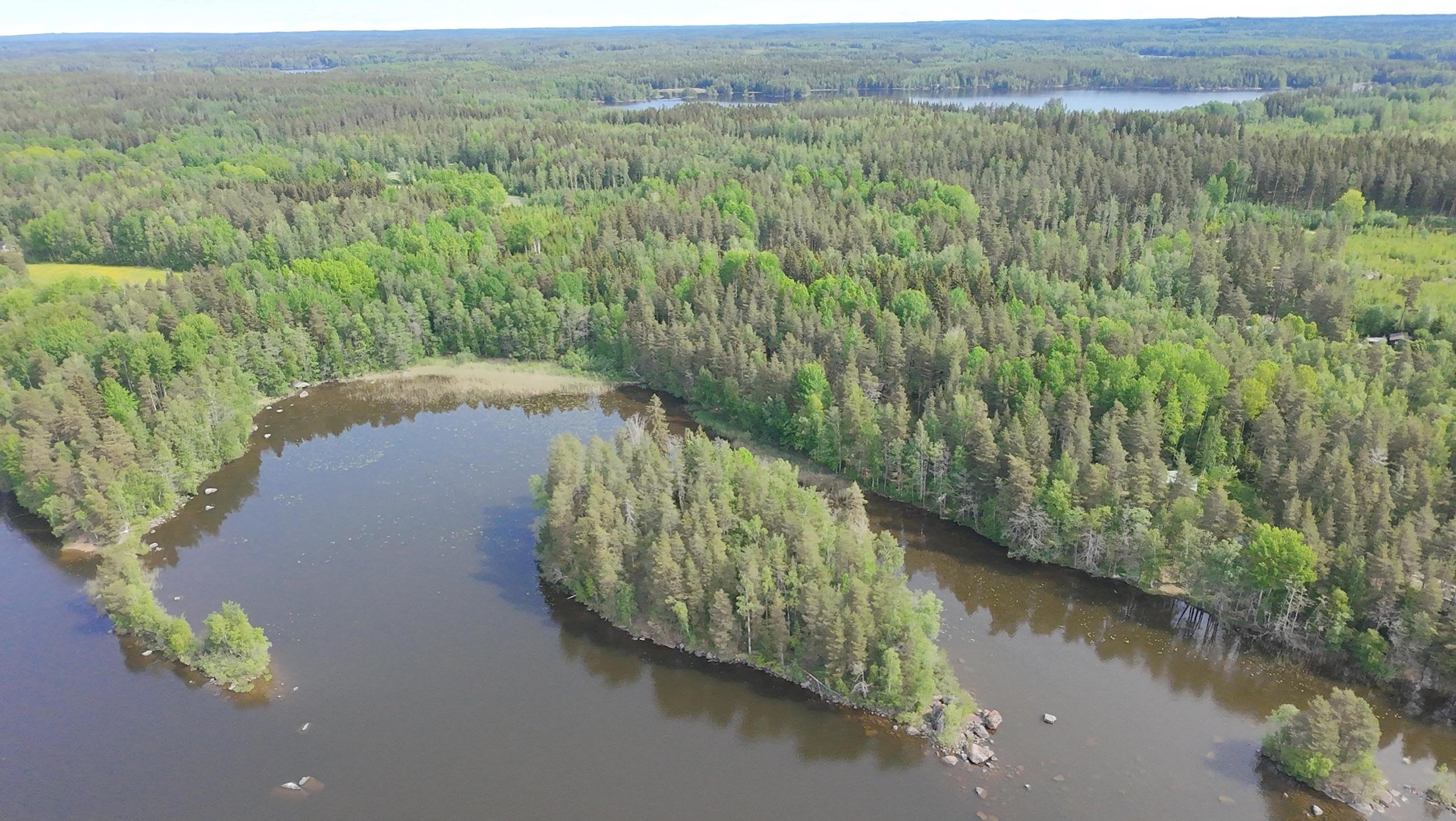 Kohdekuva 12