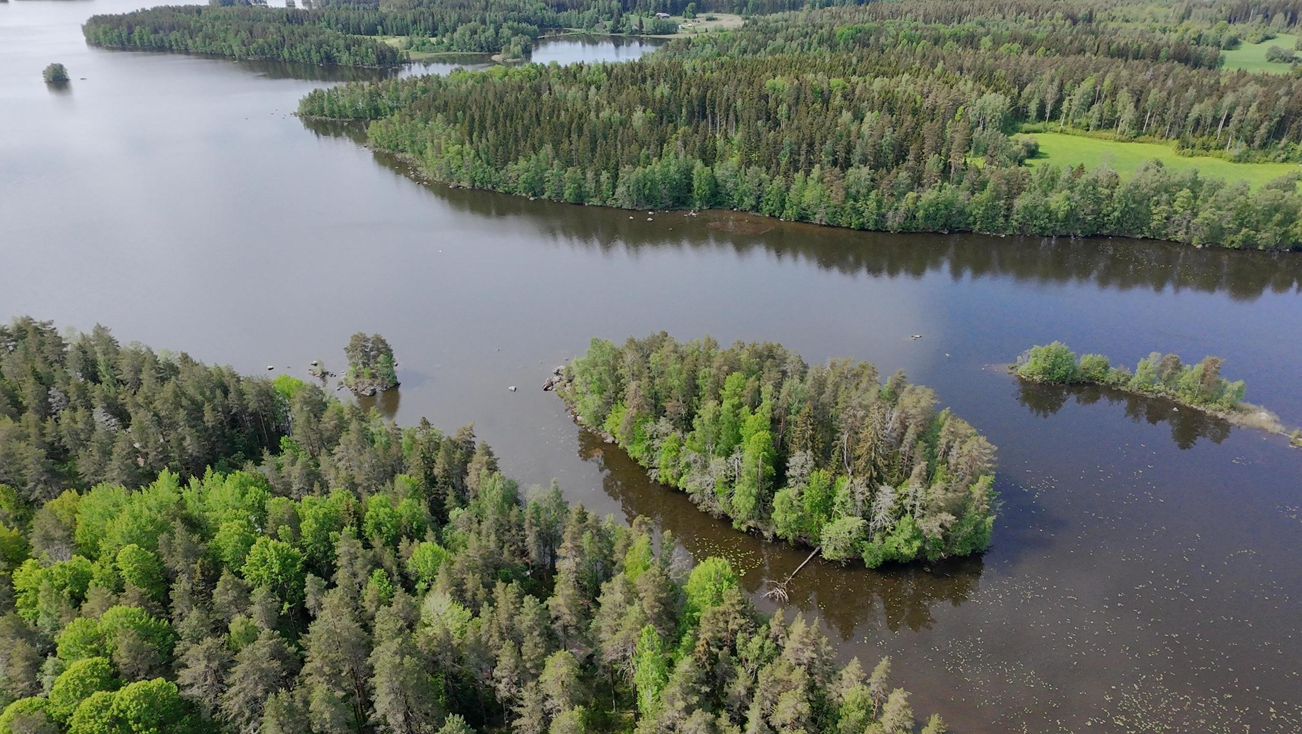 Kohdekuva 1