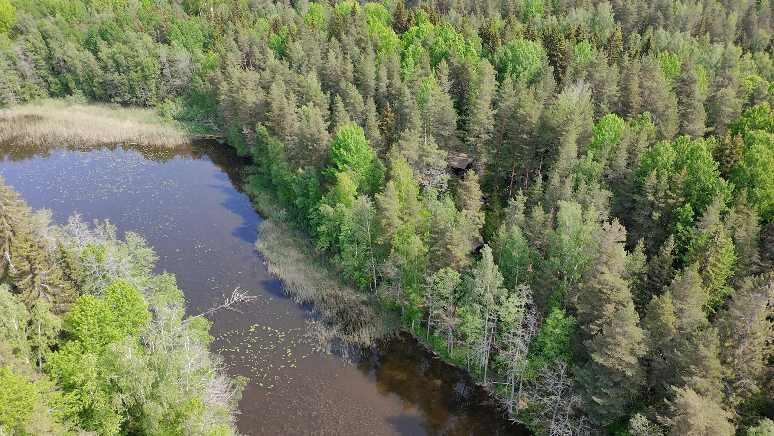 Kohdekuva 8
