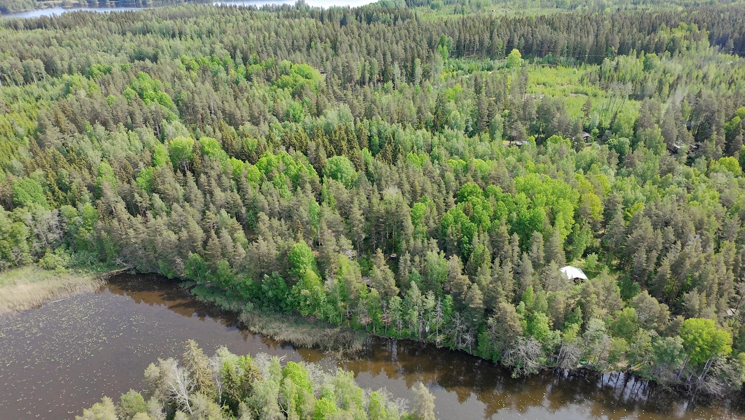 Kohdekuva 11