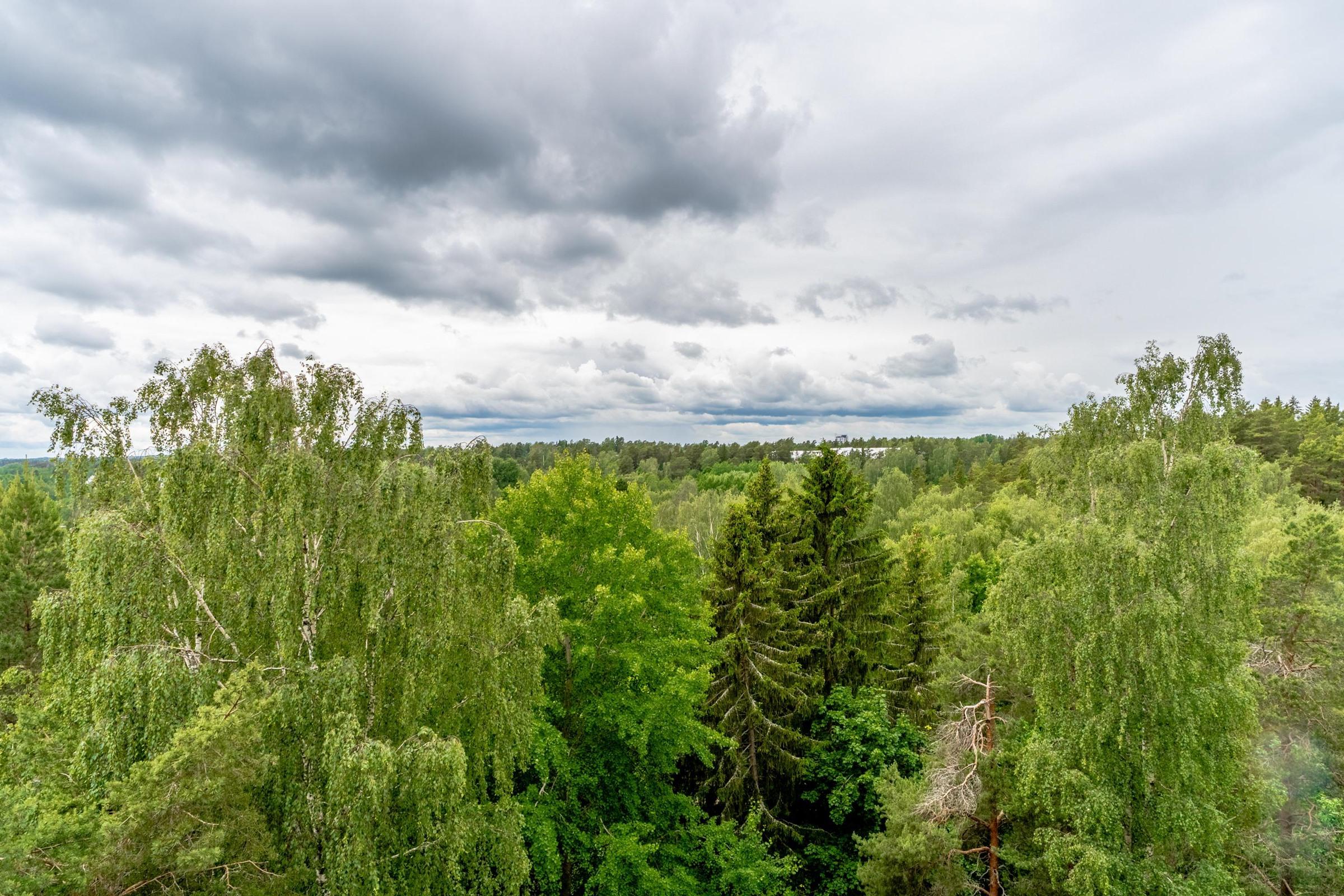 Kohdekuva 16