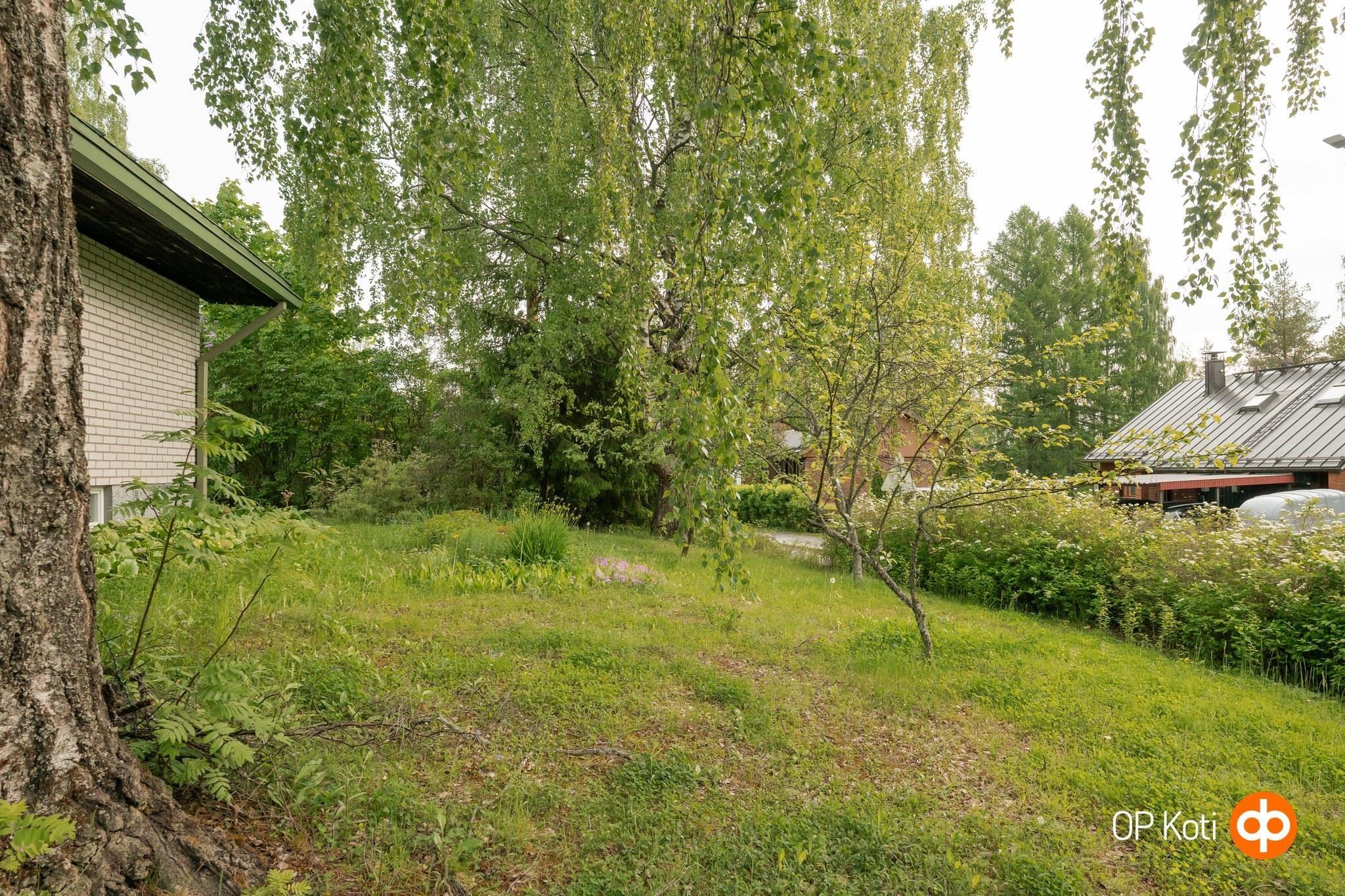Kohdekuva 42