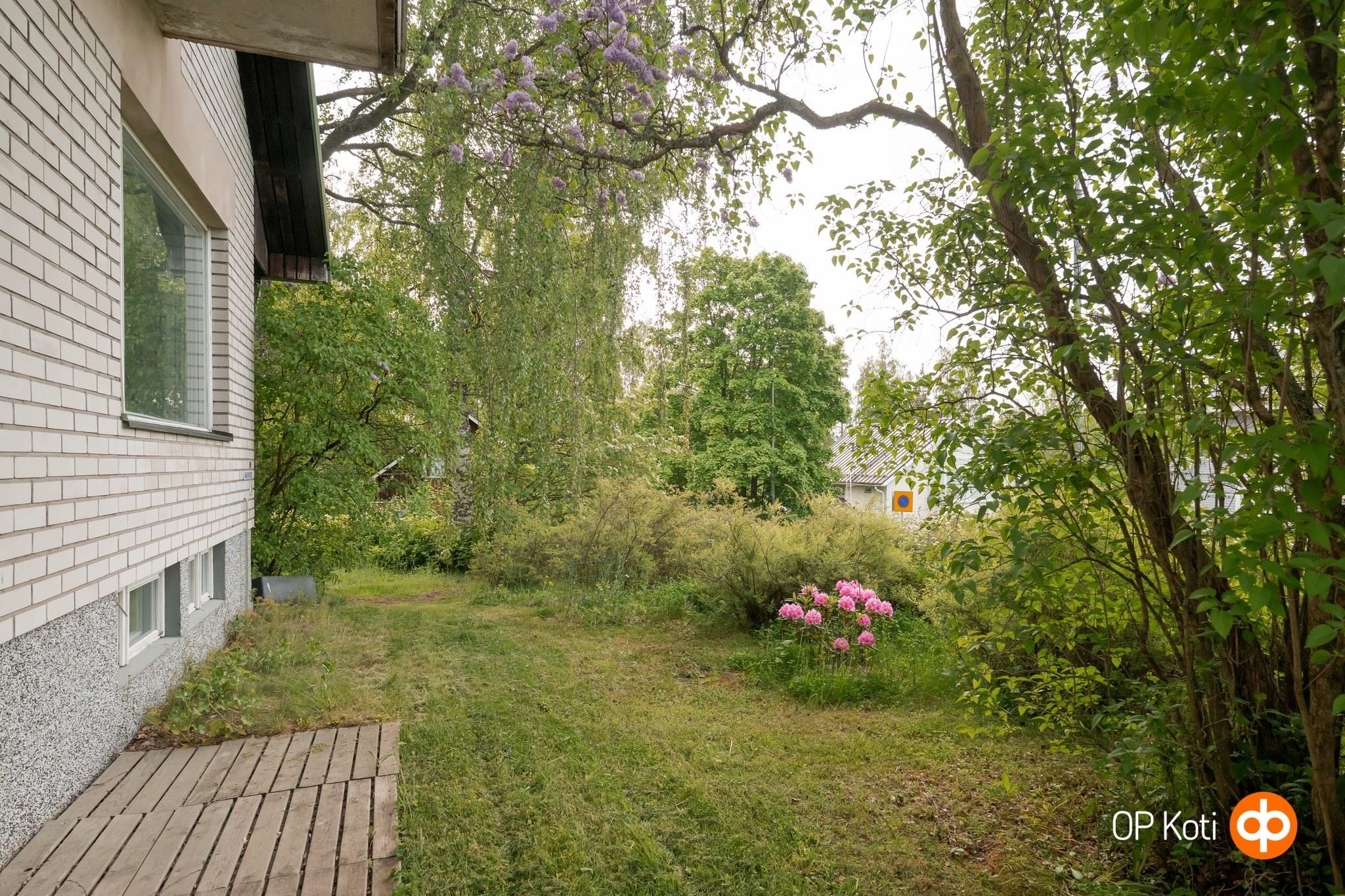 Kohdekuva 41