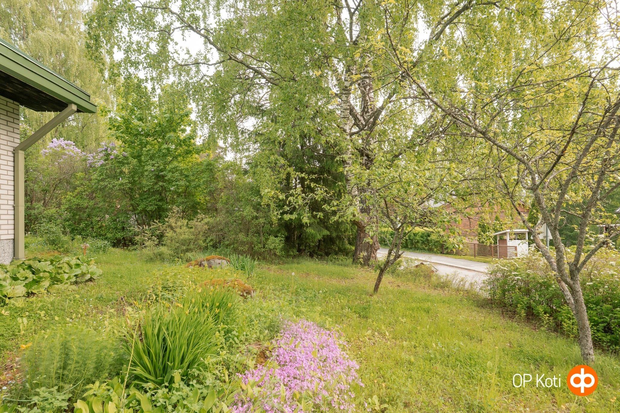Kohdekuva 43