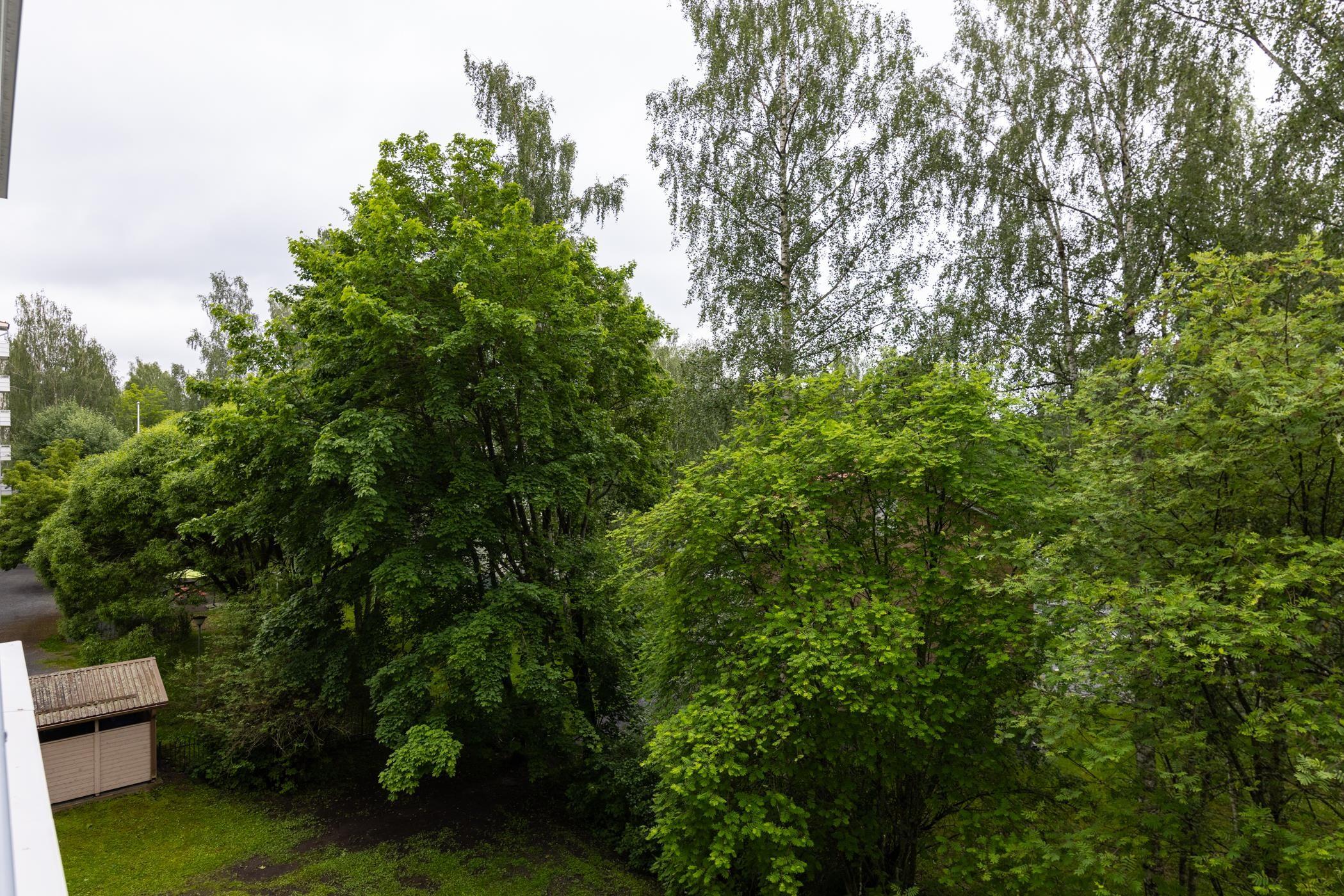 Kohdekuva 15