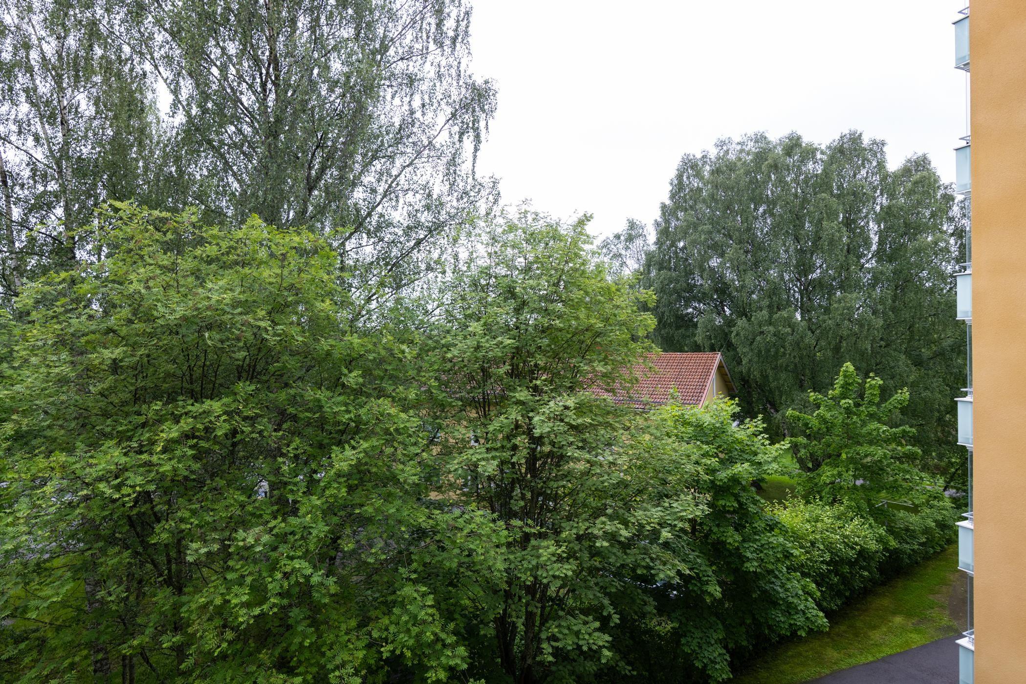 Kohdekuva 16