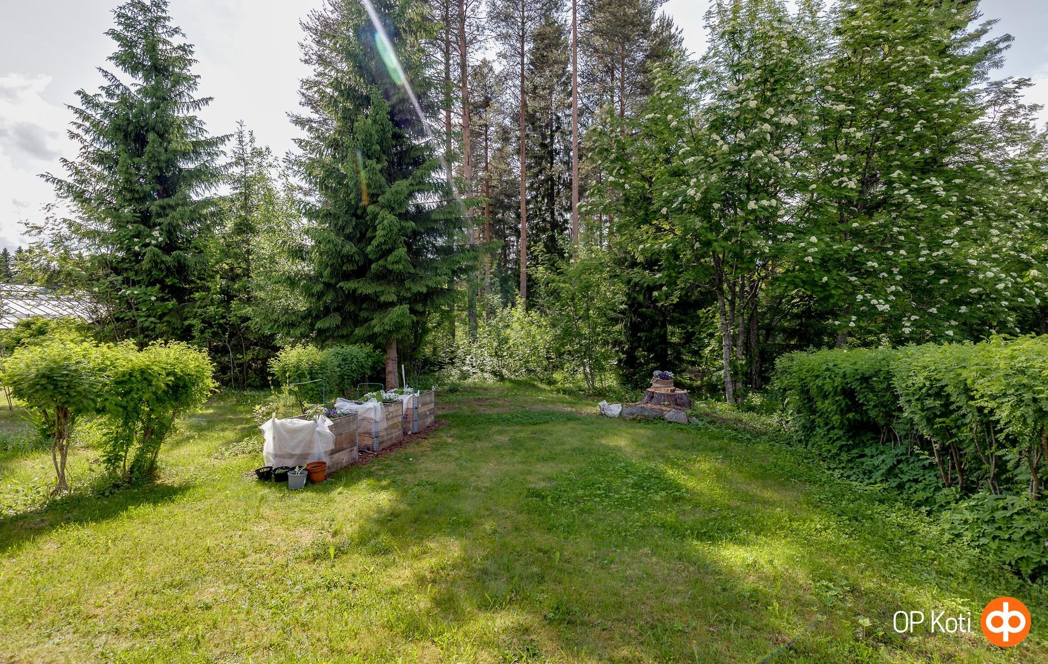 Kohdekuva 19
