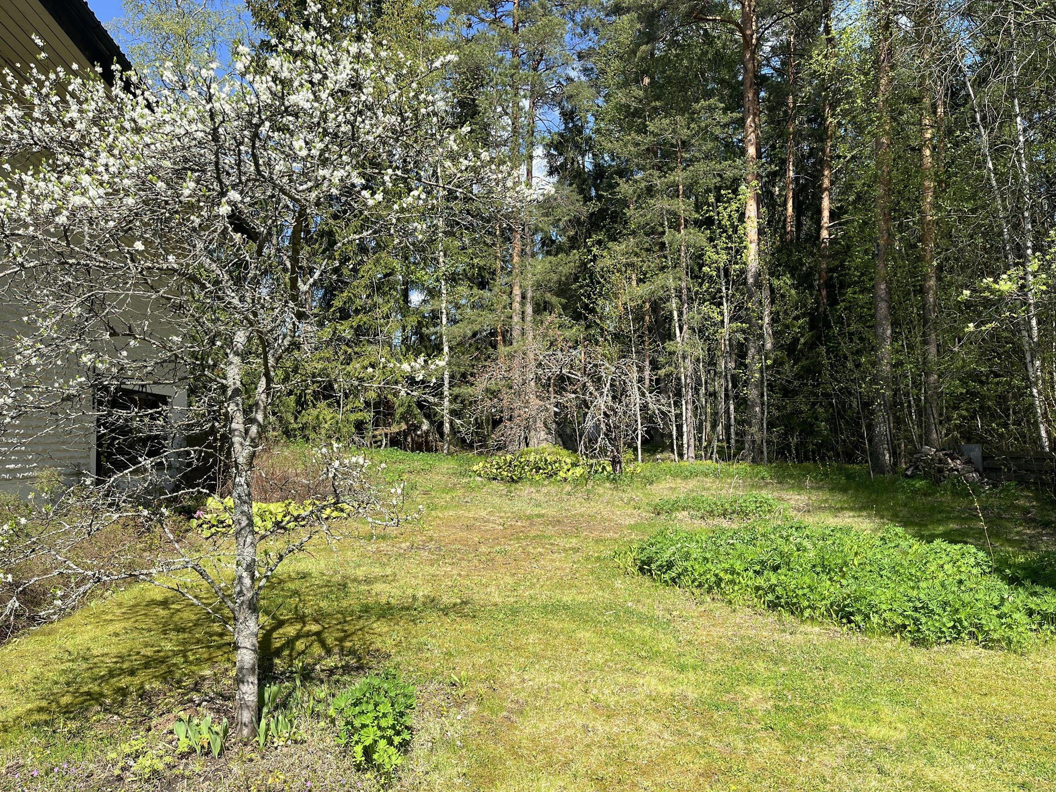 Kohdekuva 23