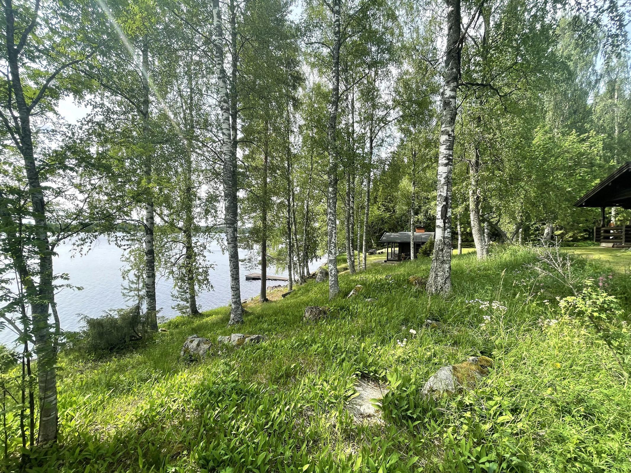 Kohdekuva 12