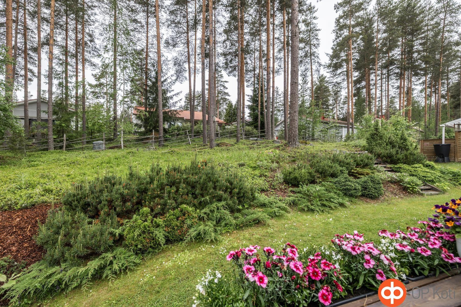 Kohdekuva 19