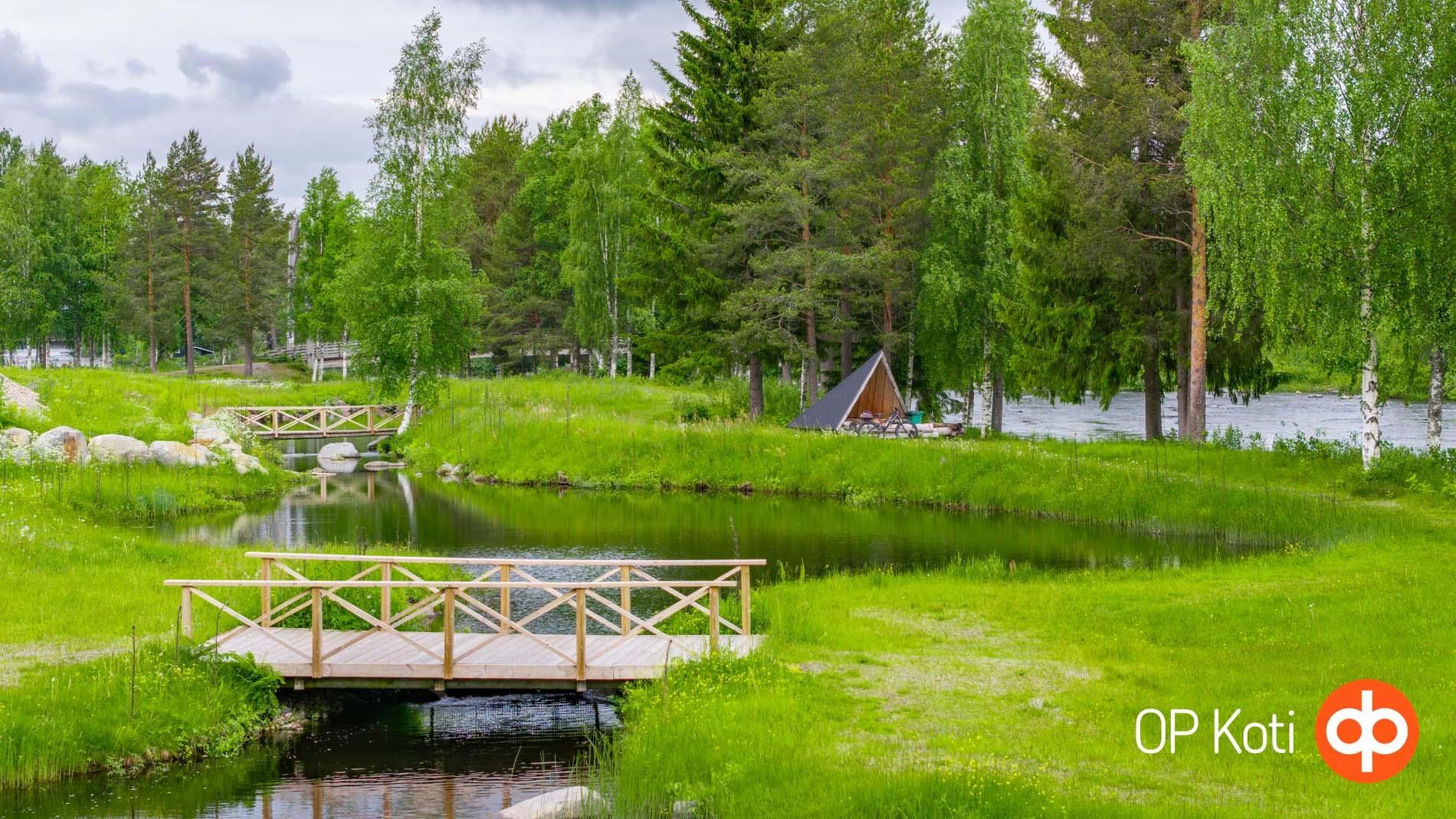 Kohdekuva 31