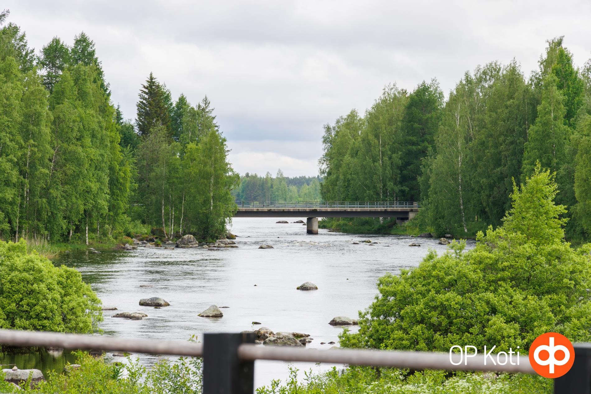 Kohdekuva 54
