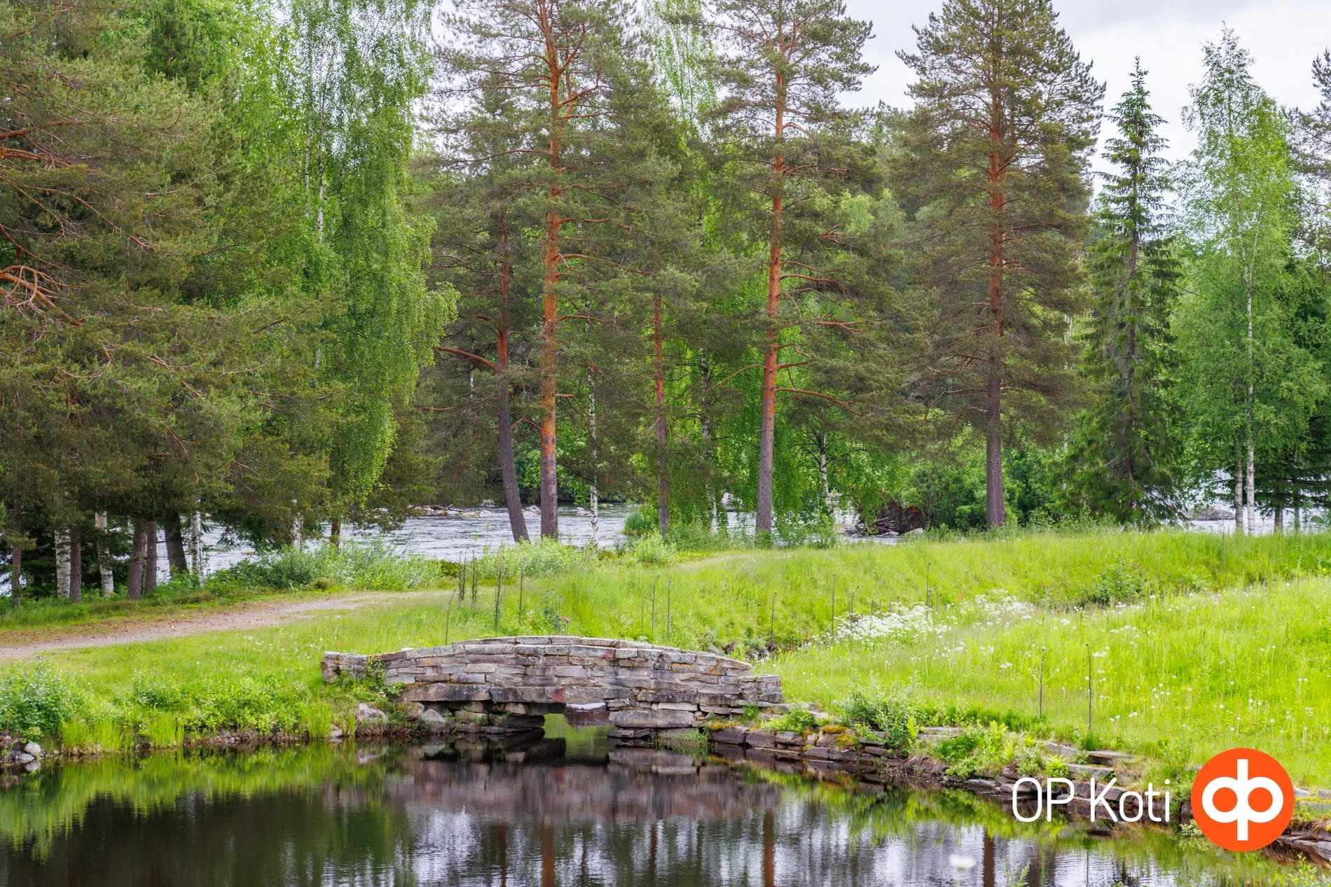 Kohdekuva 53