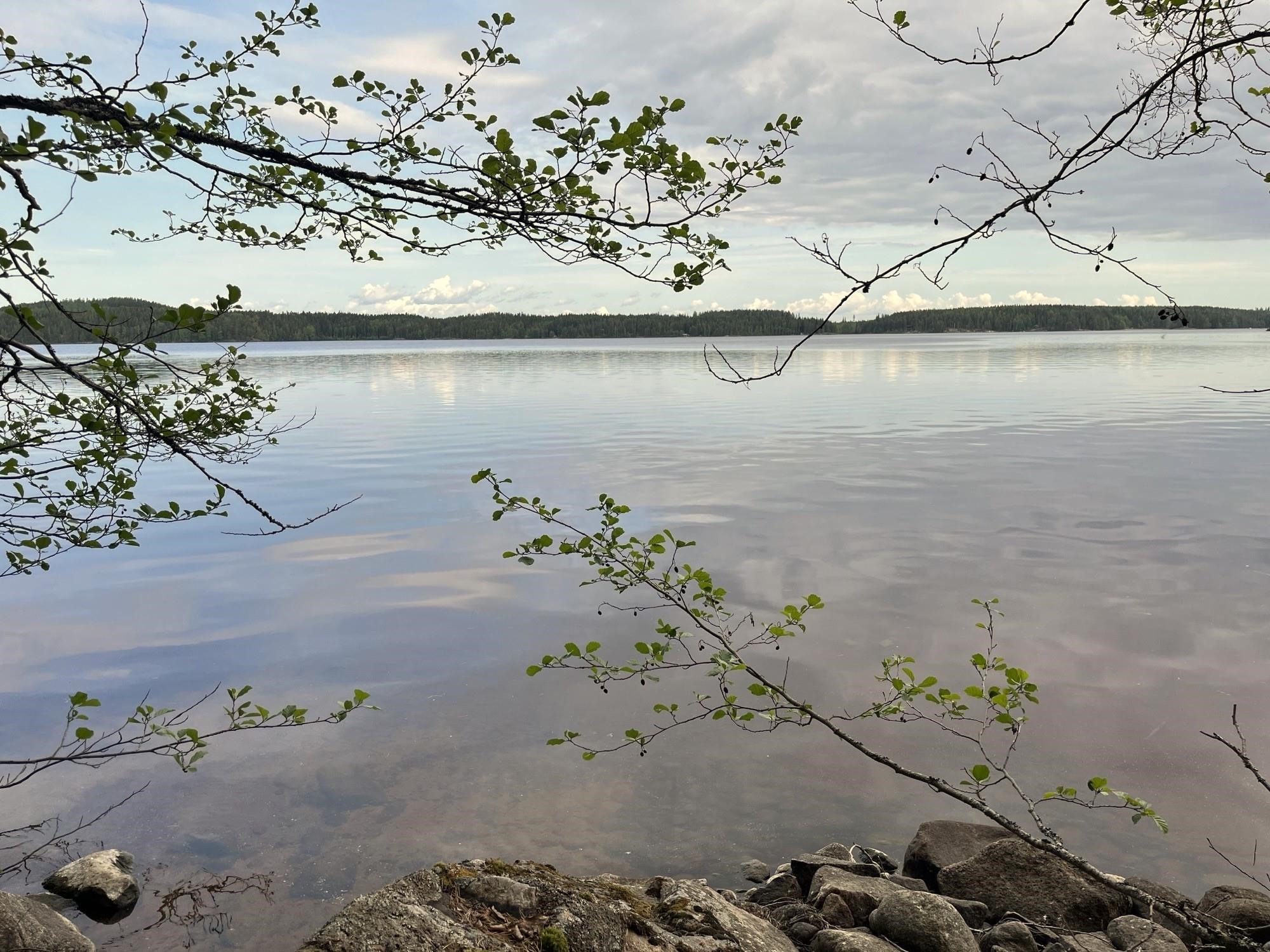 Kohdekuva 16