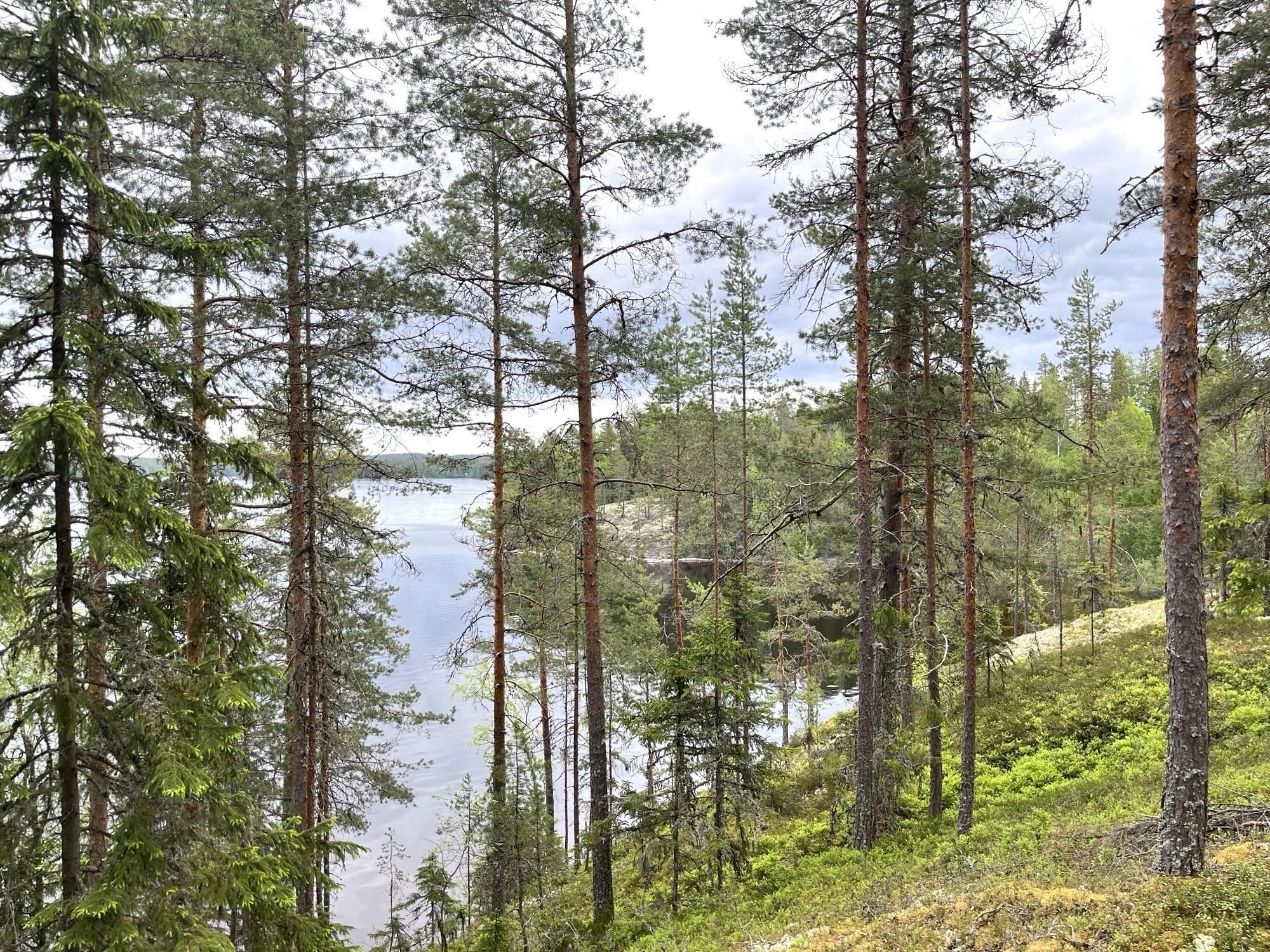 Kohdekuva 2