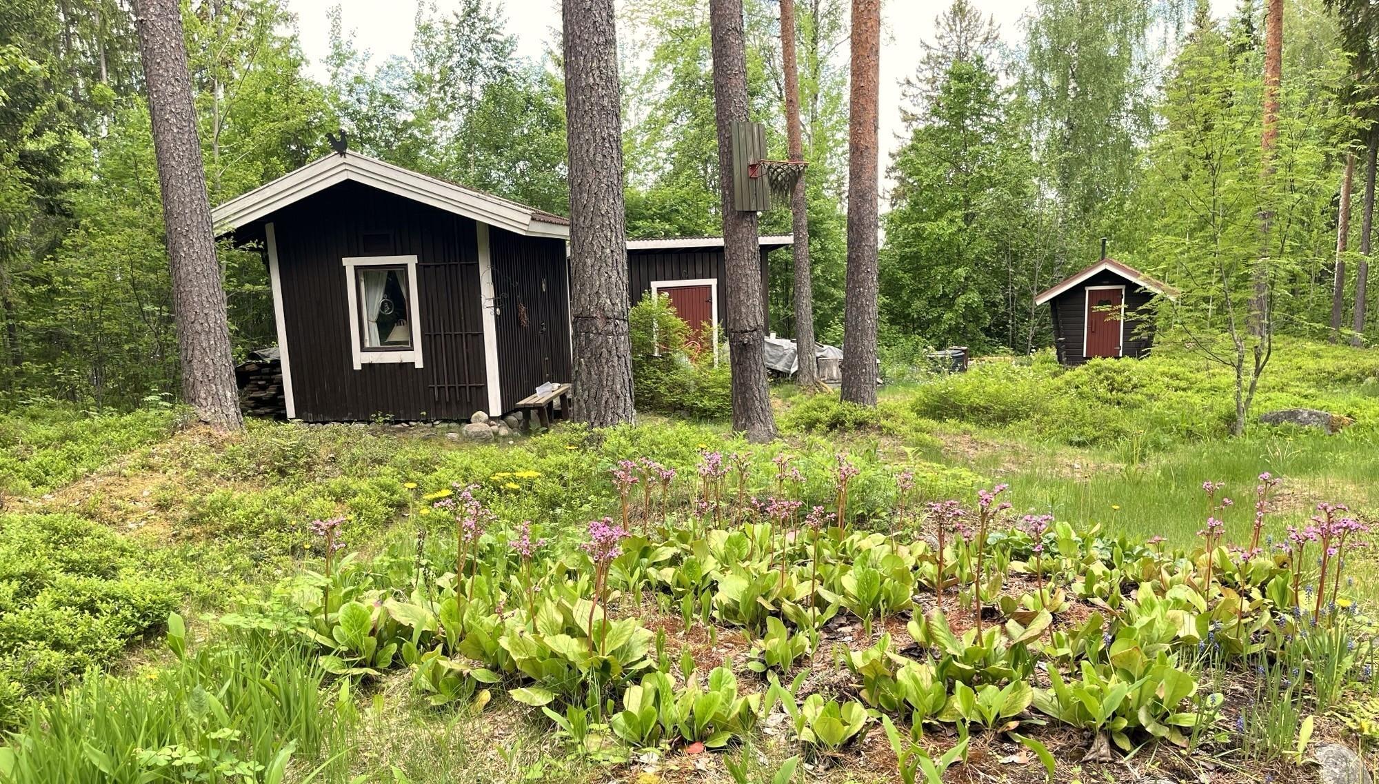 Kohdekuva 10