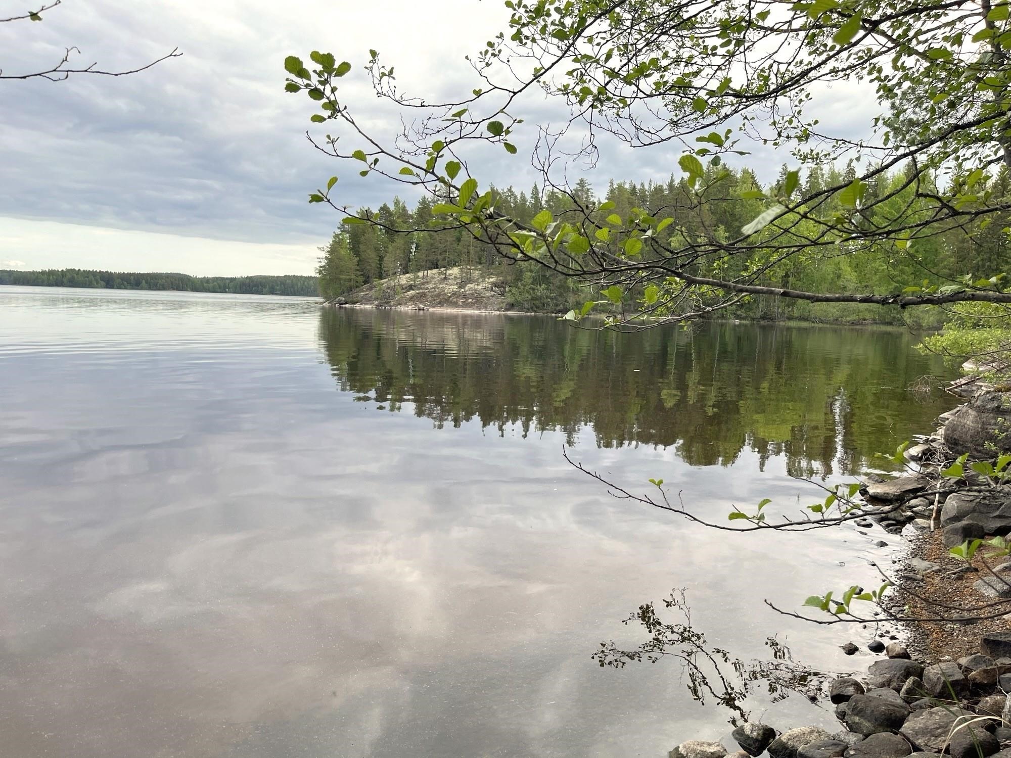 Kohdekuva 17