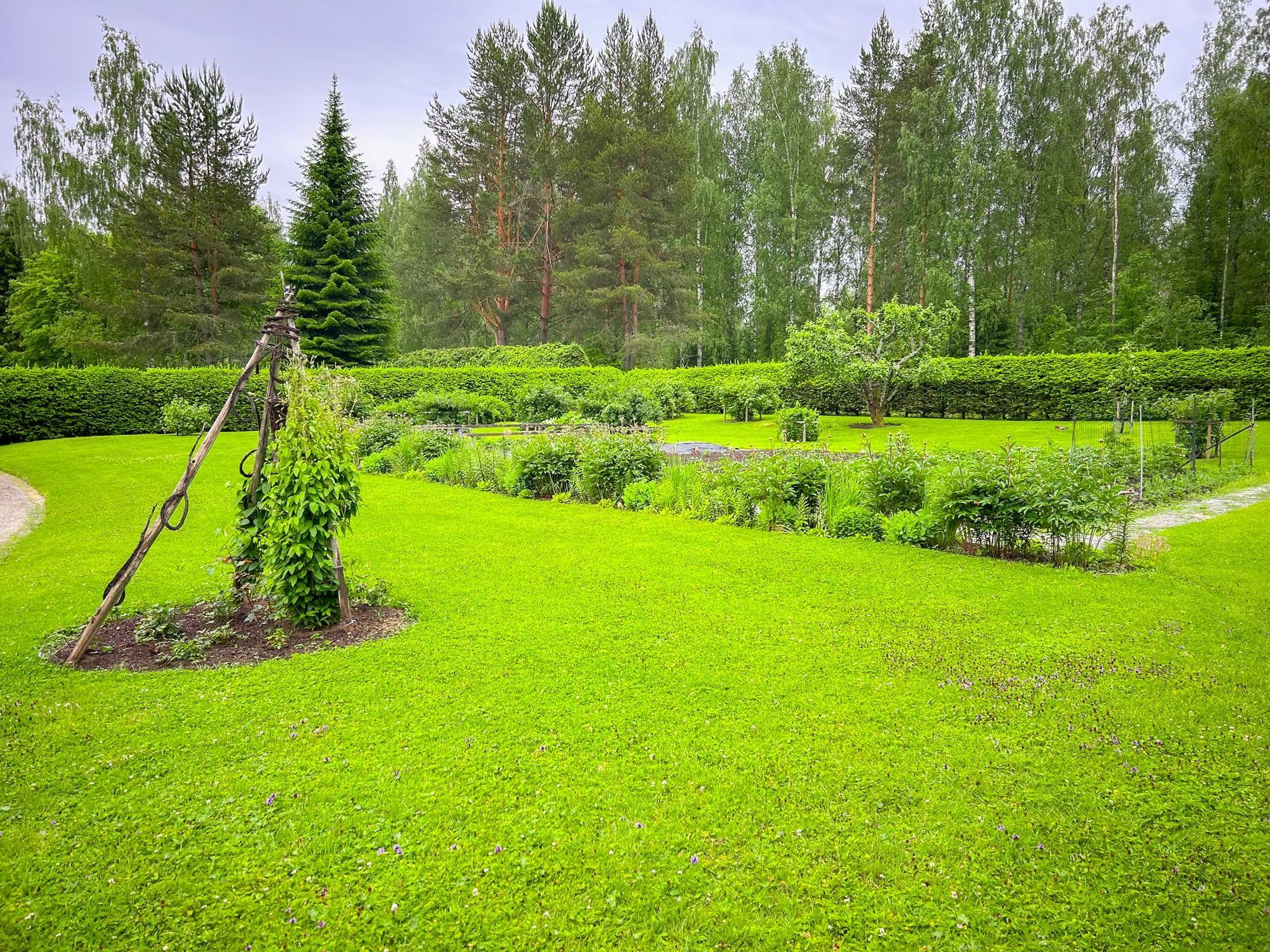 Kohdekuva 23