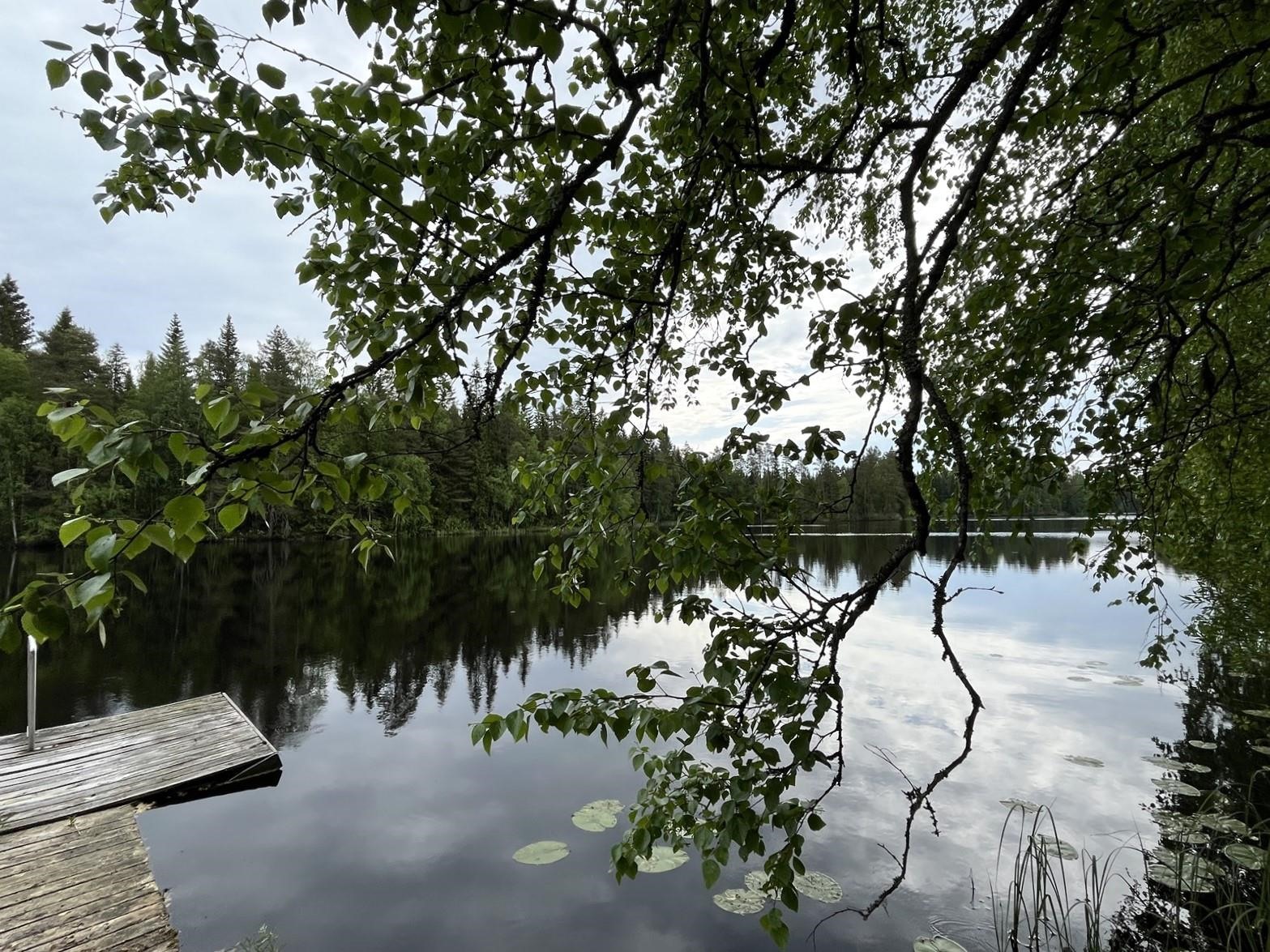 Kohdekuva 5