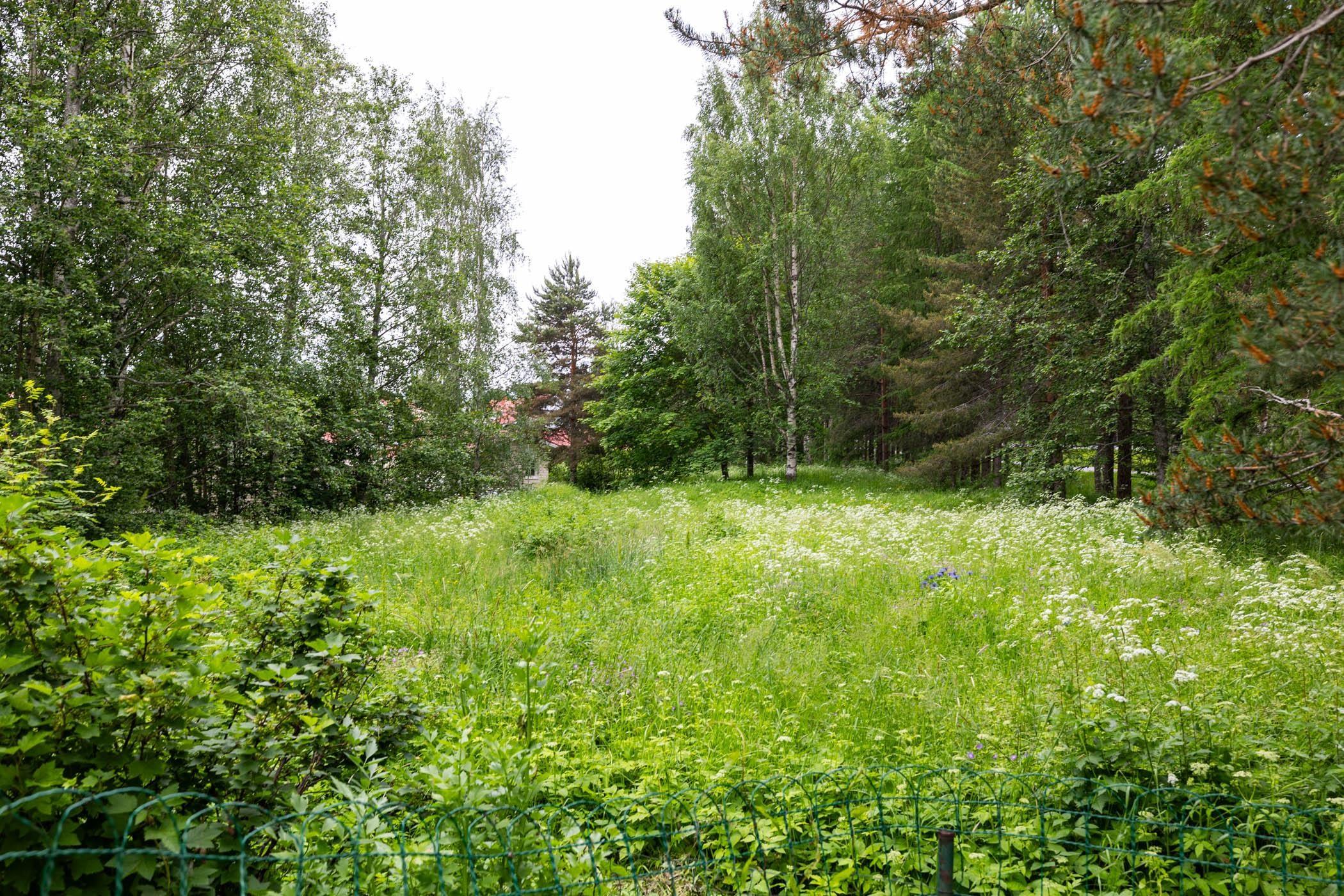 Kohdekuva 36