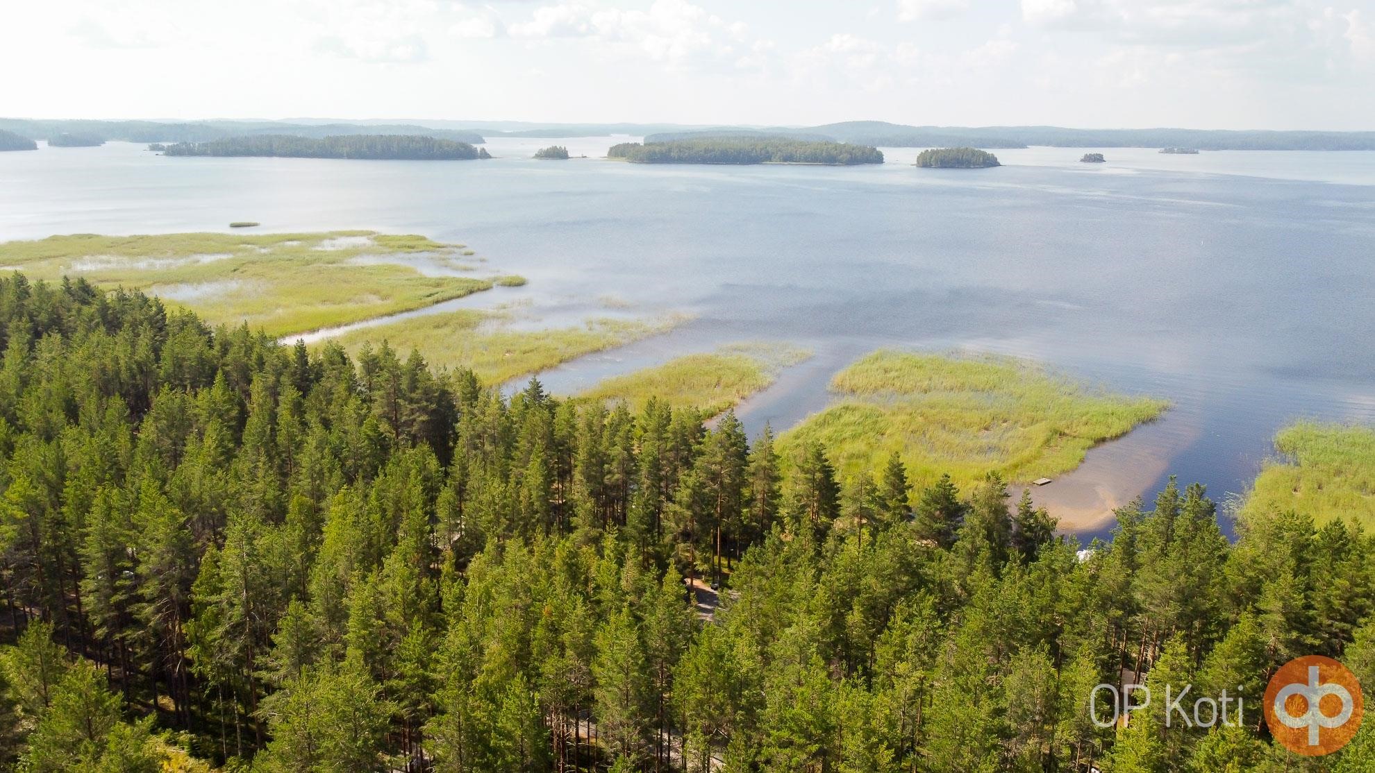 Kohdekuva 50