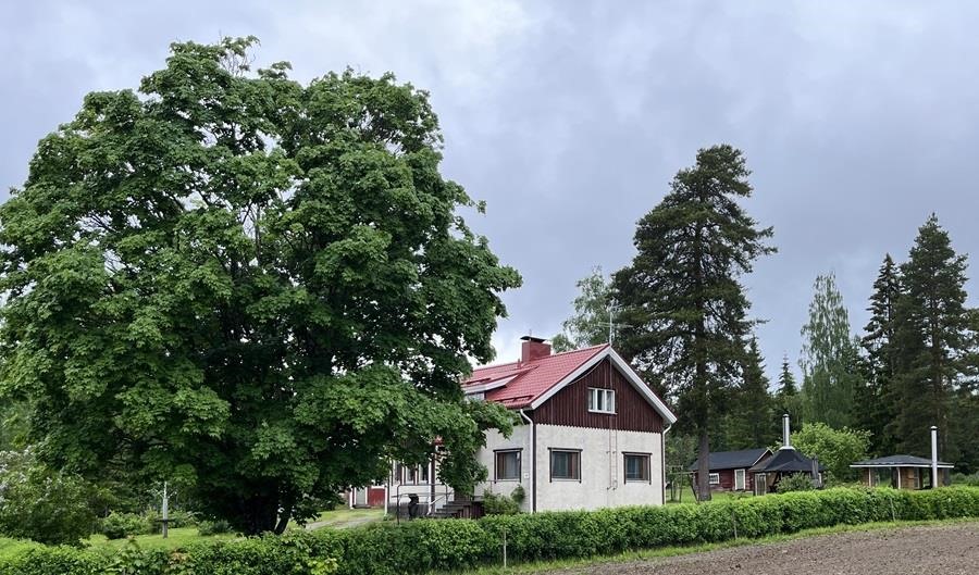 Kohdekuva 22
