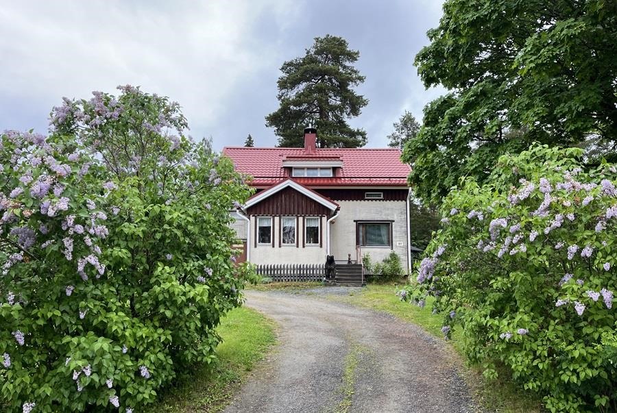Kohdekuva 1
