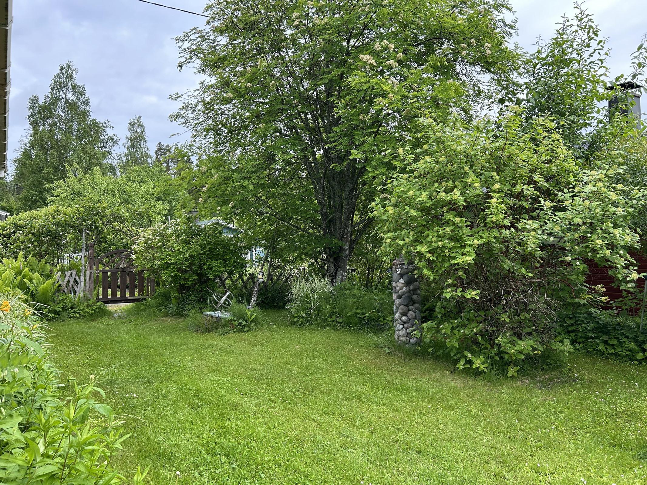 Kohdekuva 17