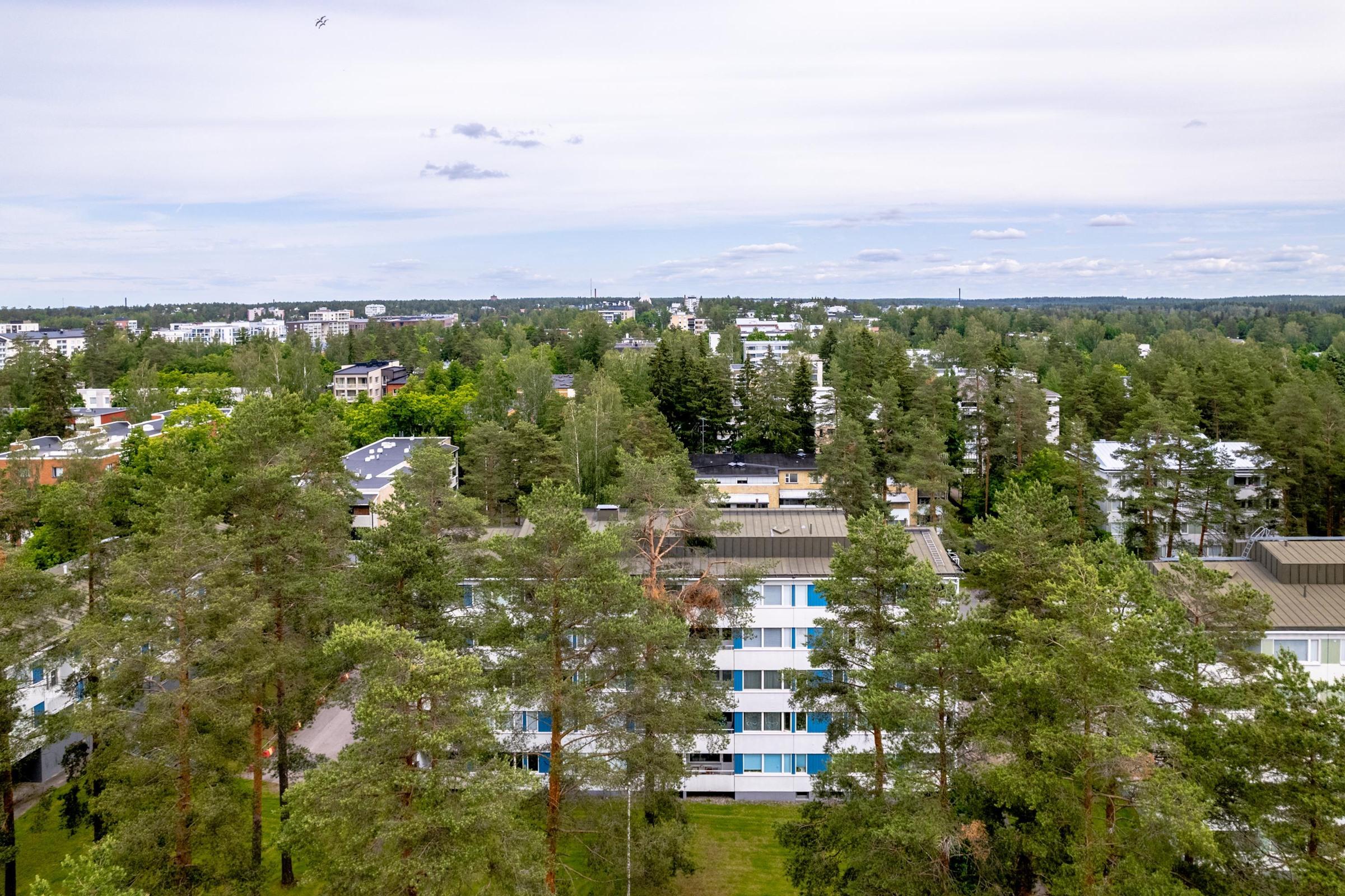 Kohdekuva 19