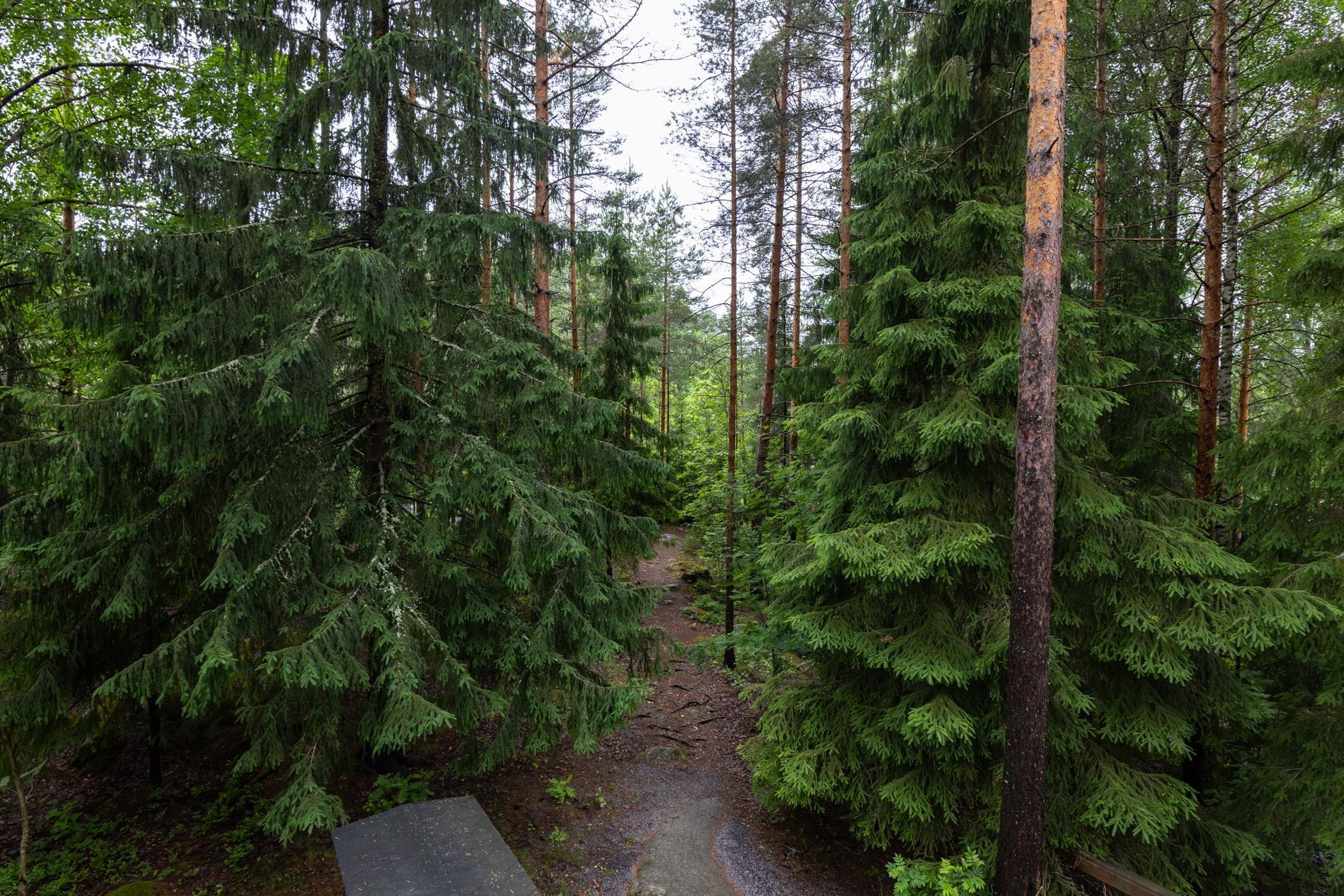 Kohdekuva 16