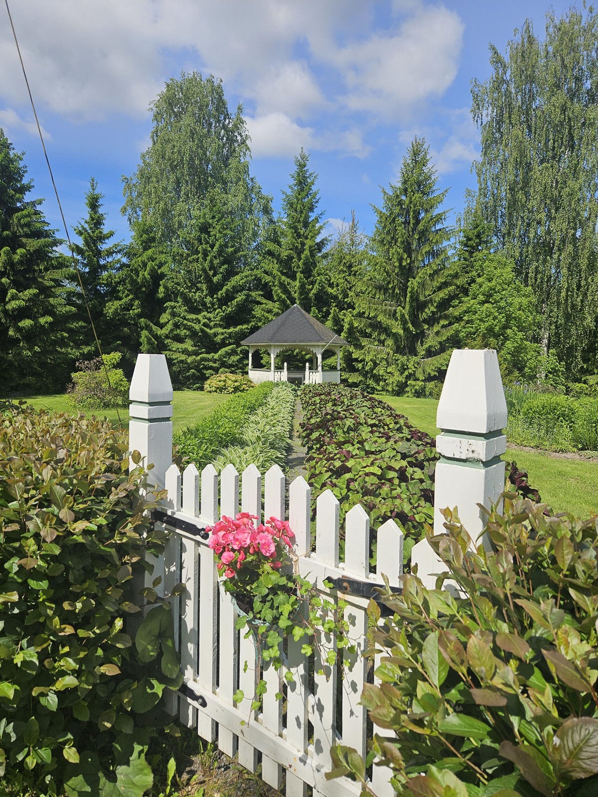 Kohdekuva 33