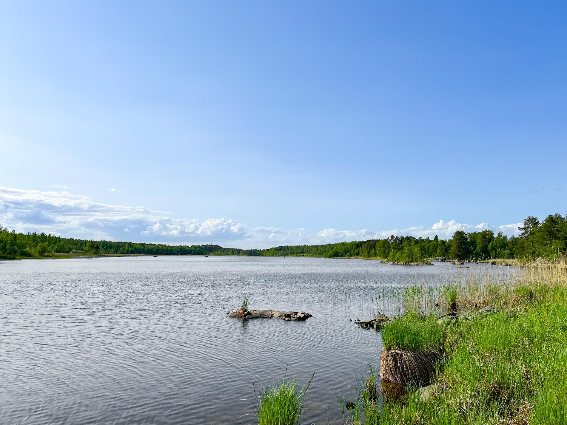Kohdekuva 12