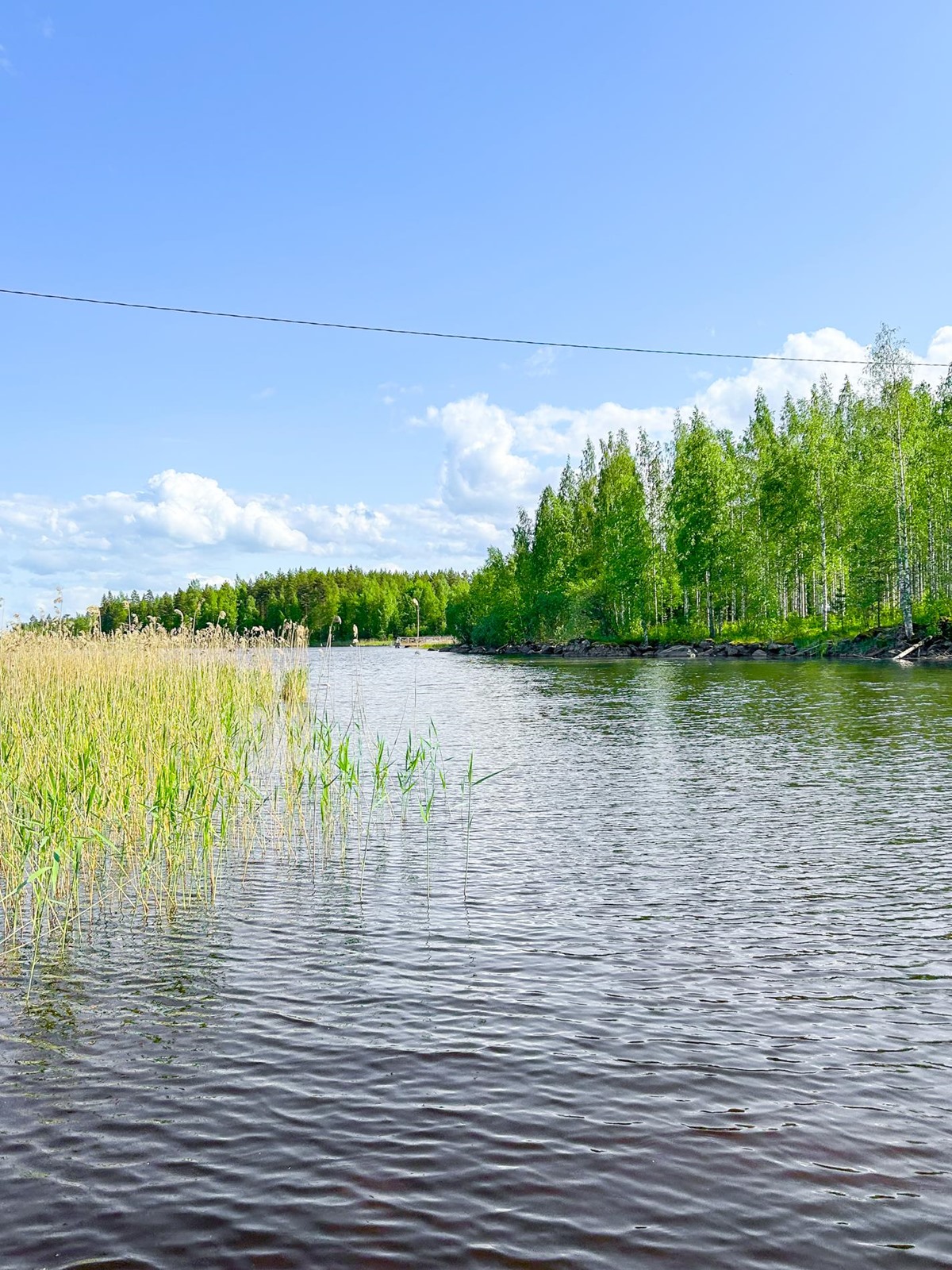 Kohdekuva 13