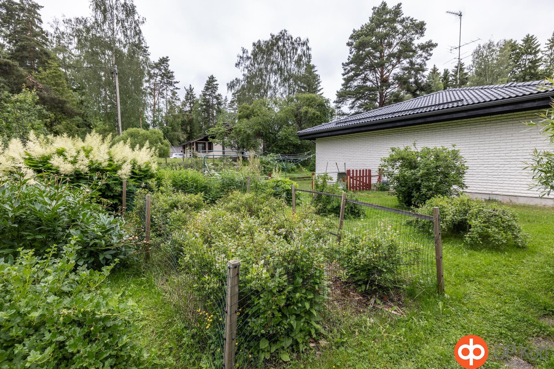 Kohdekuva 18