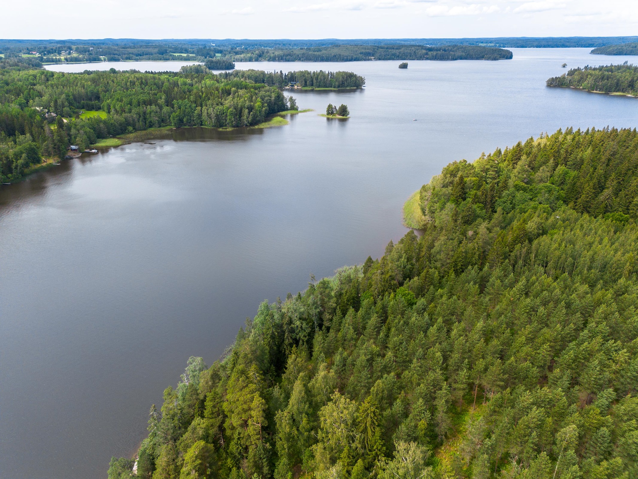 Kohdekuva 1