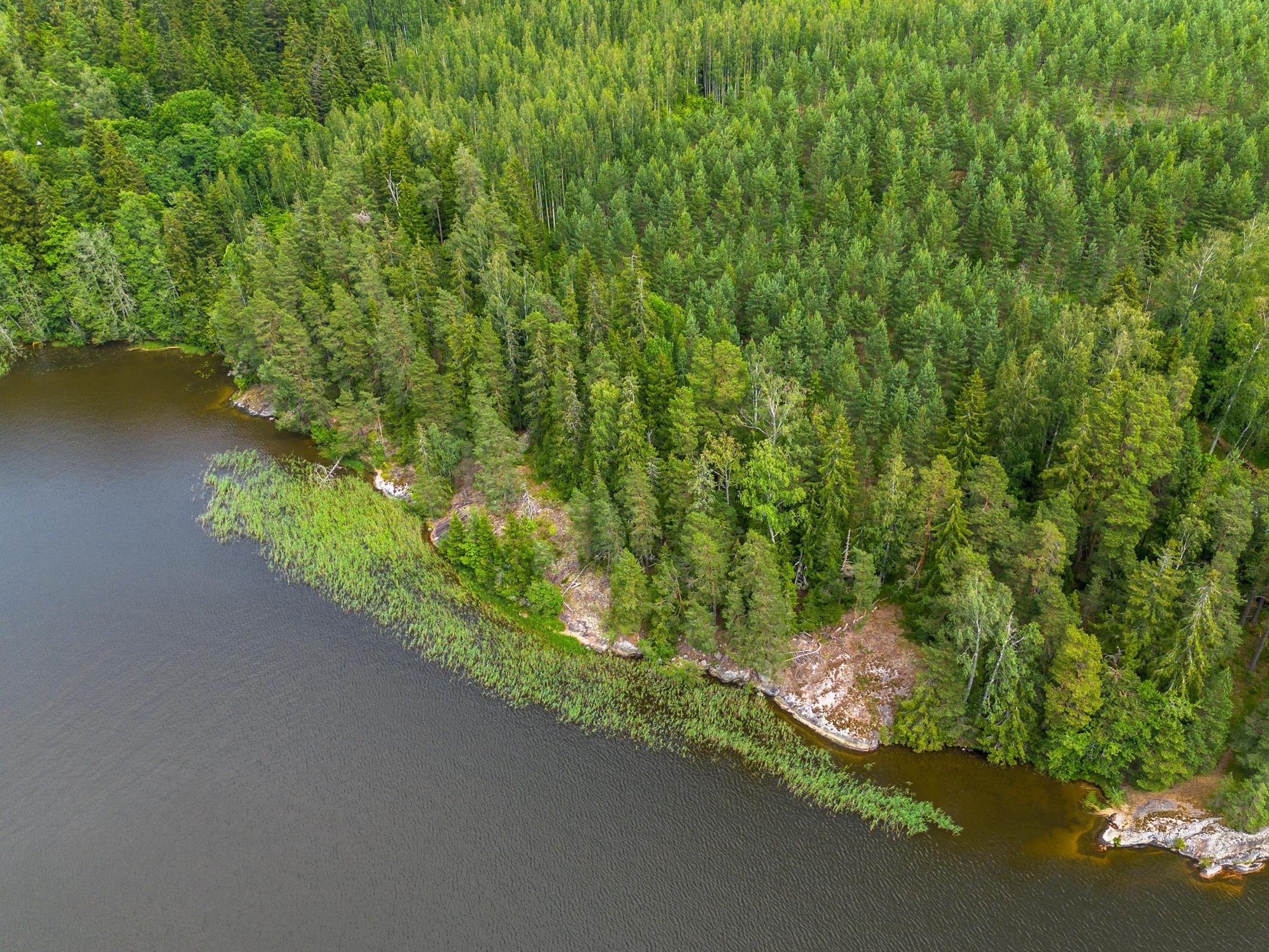 Kohdekuva 4