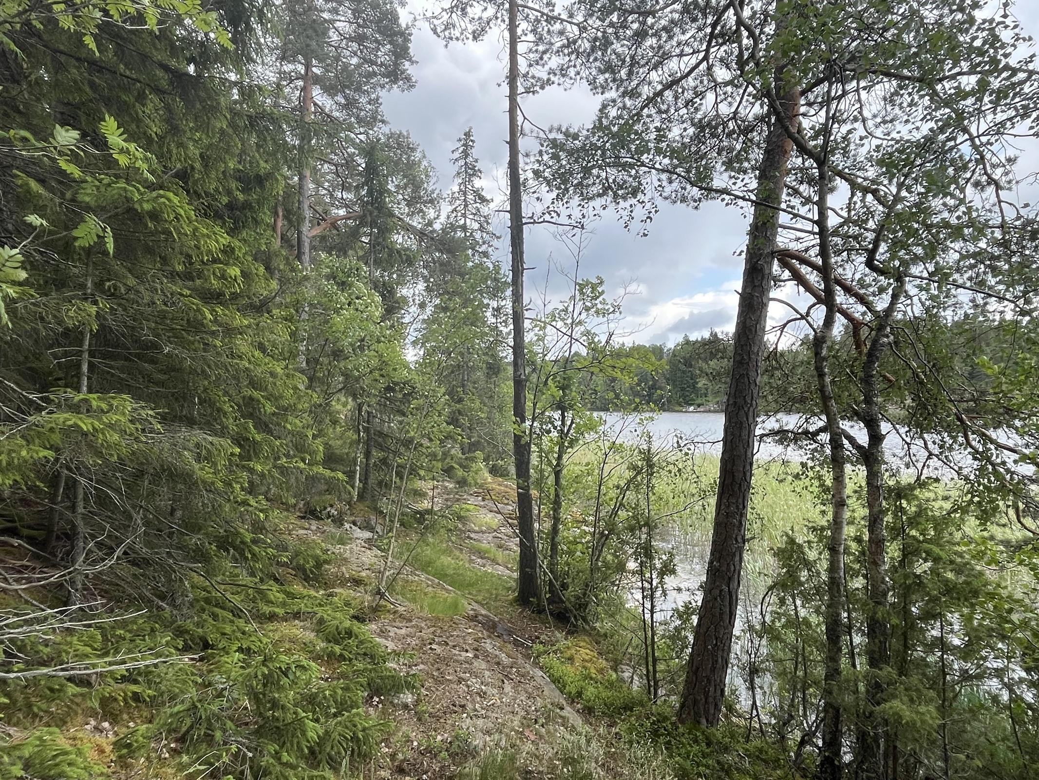 Kohdekuva 3