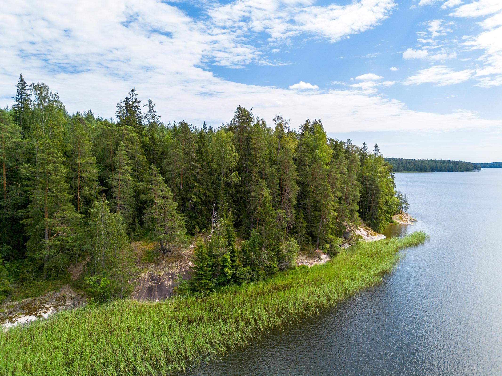 Kohdekuva 11