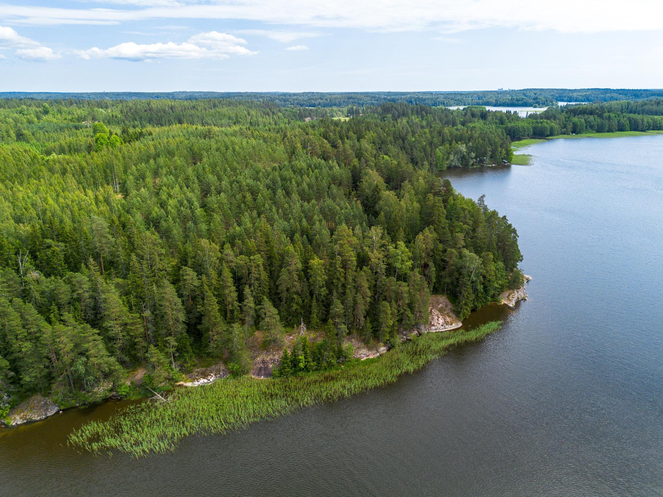 Kohdekuva 10