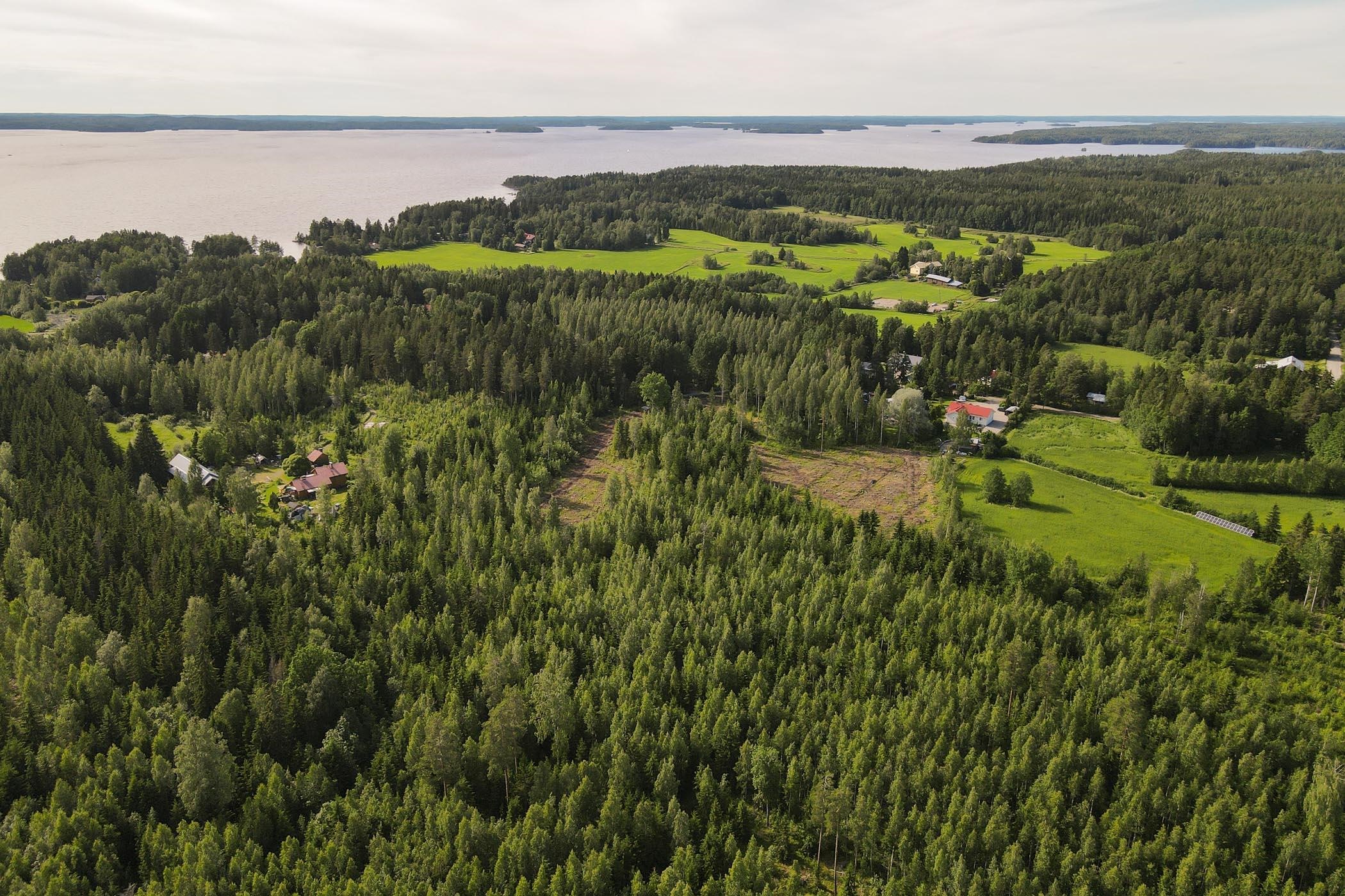 Kohdekuva 8