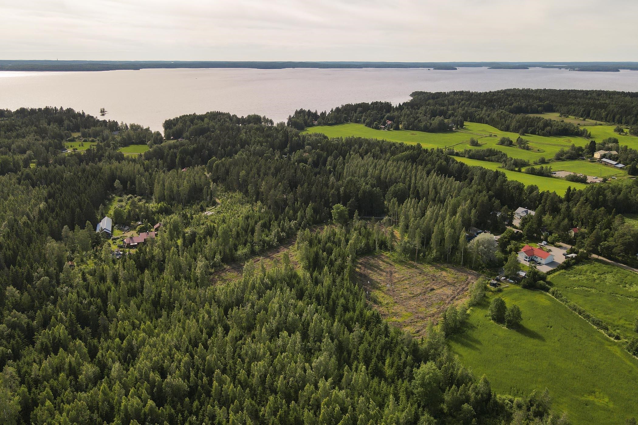 Kohdekuva 2