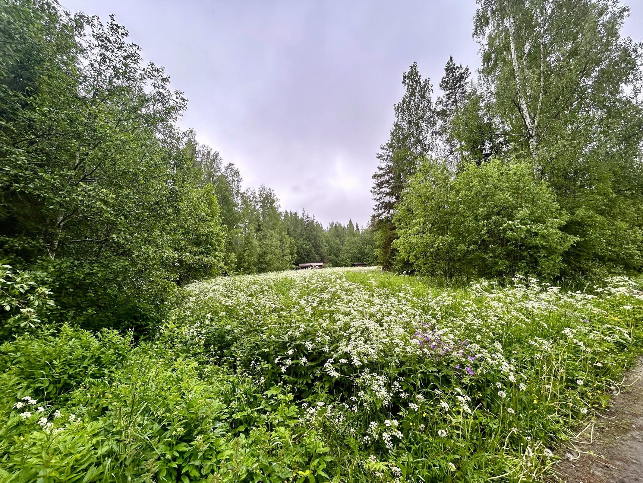 Kohdekuva 1