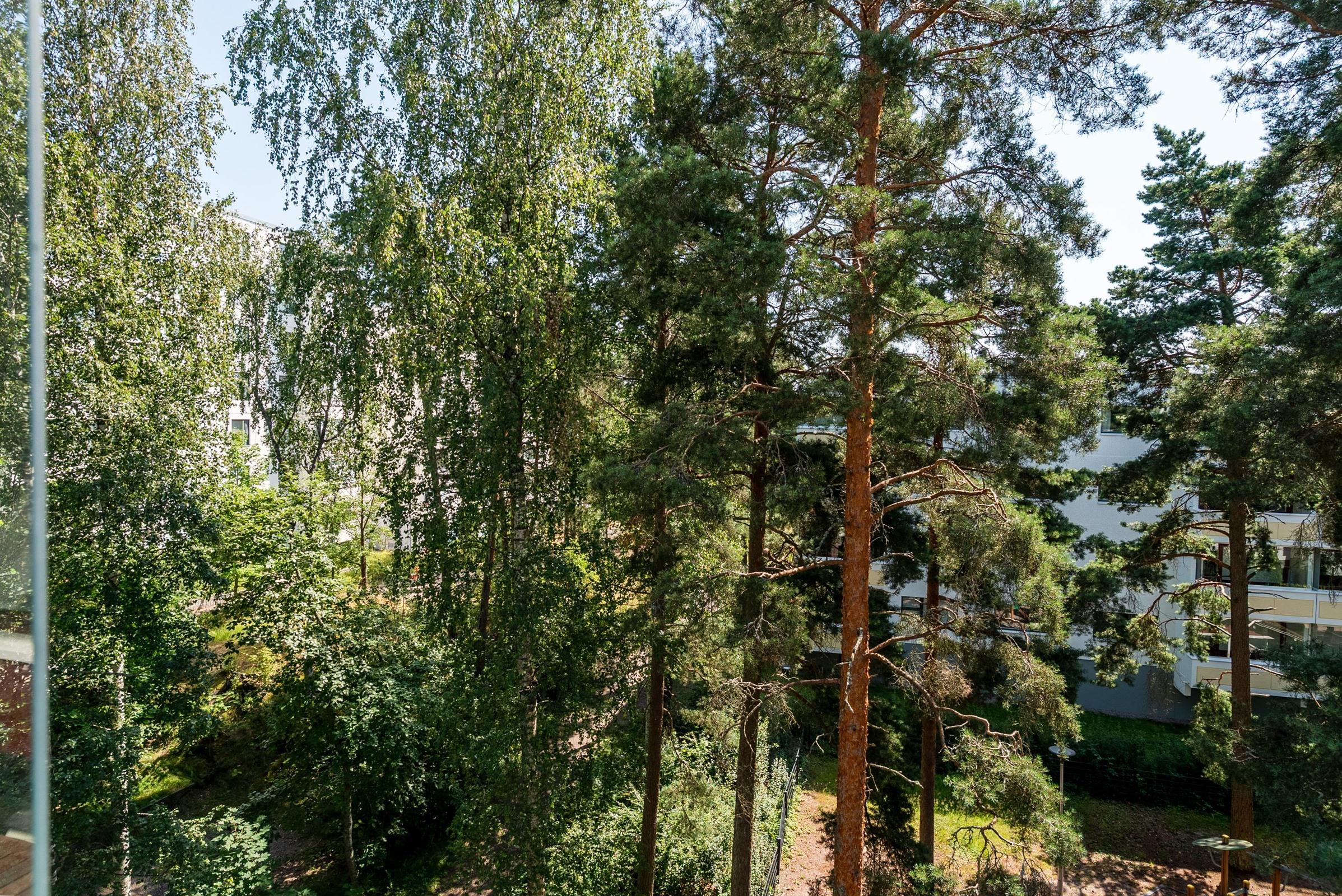 Kohdekuva 15