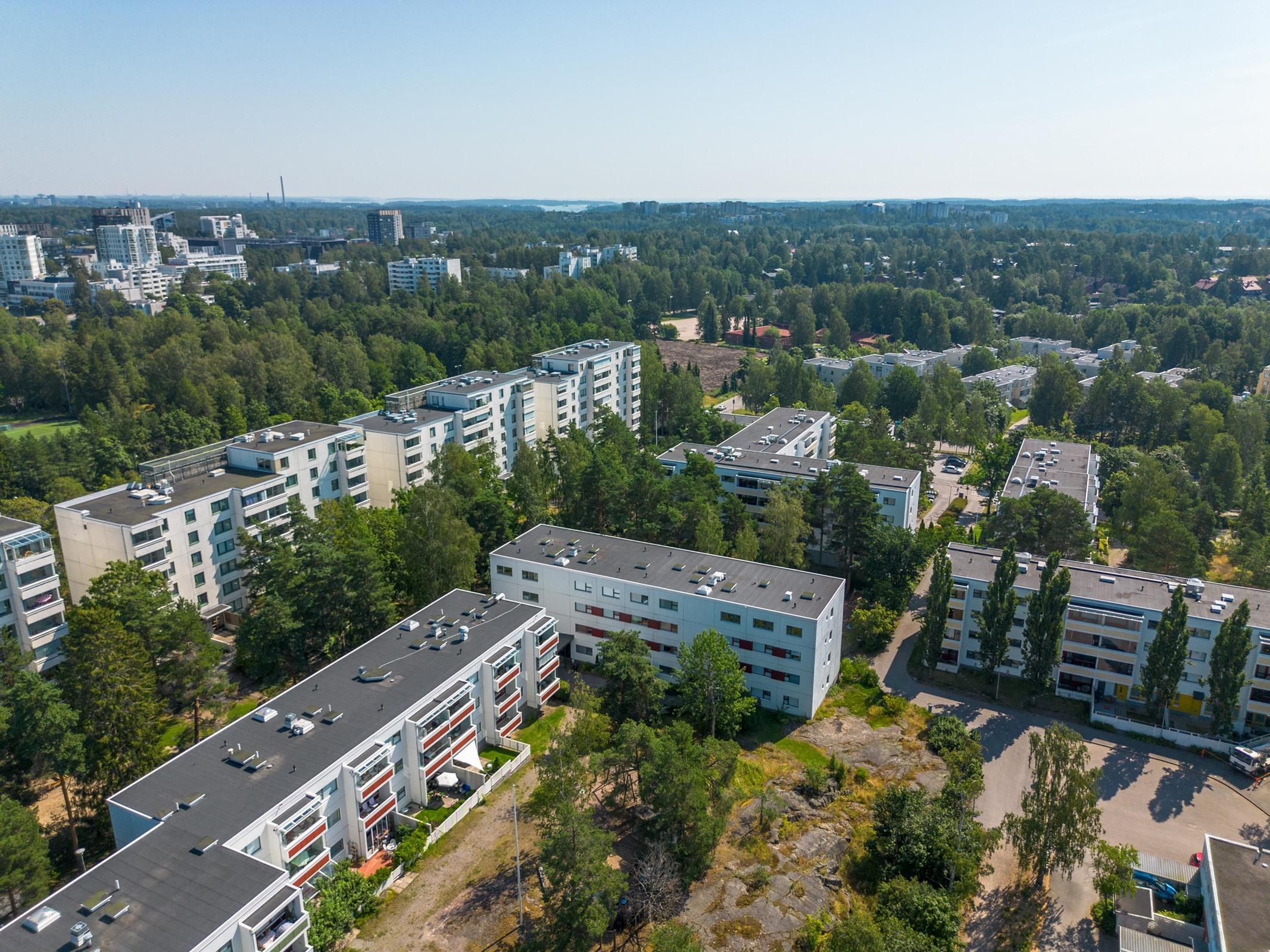 Kohdekuva 24